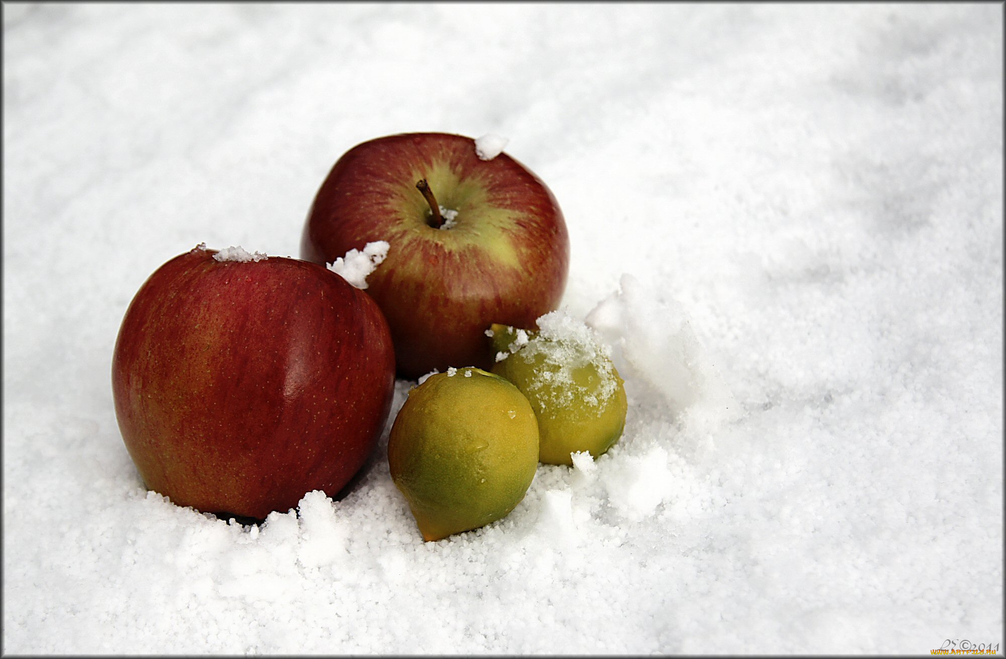 еда, фрукты, ягоды, яблоки, снег