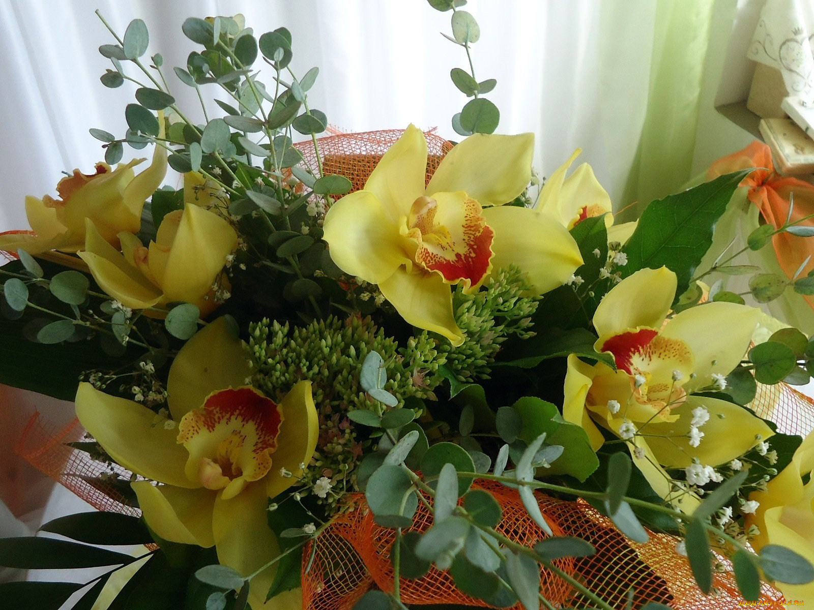 цветы, букеты, композиции, зелень, букет, орхидеи