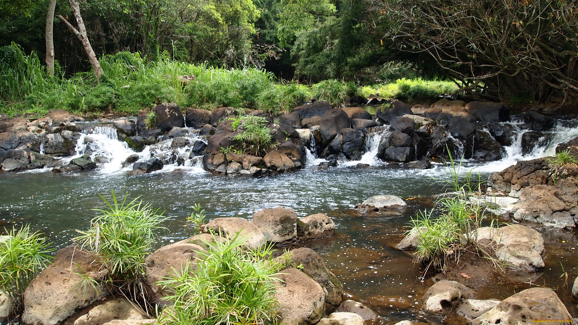 кipu, falls, limahue, botanical, gardens, hawaii, природа, парк, 