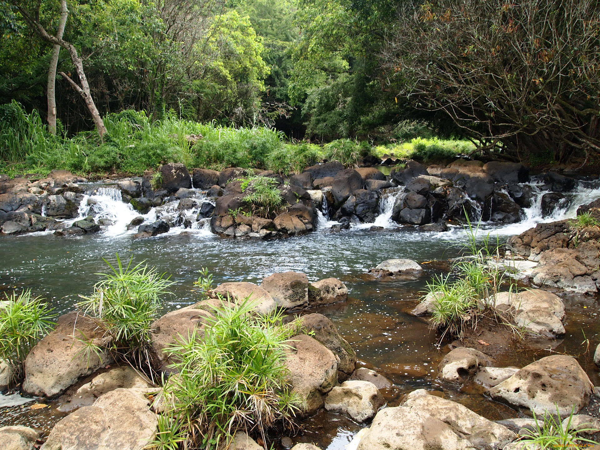 кipu, falls, limahue, botanical, gardens, hawaii, природа, парк, 