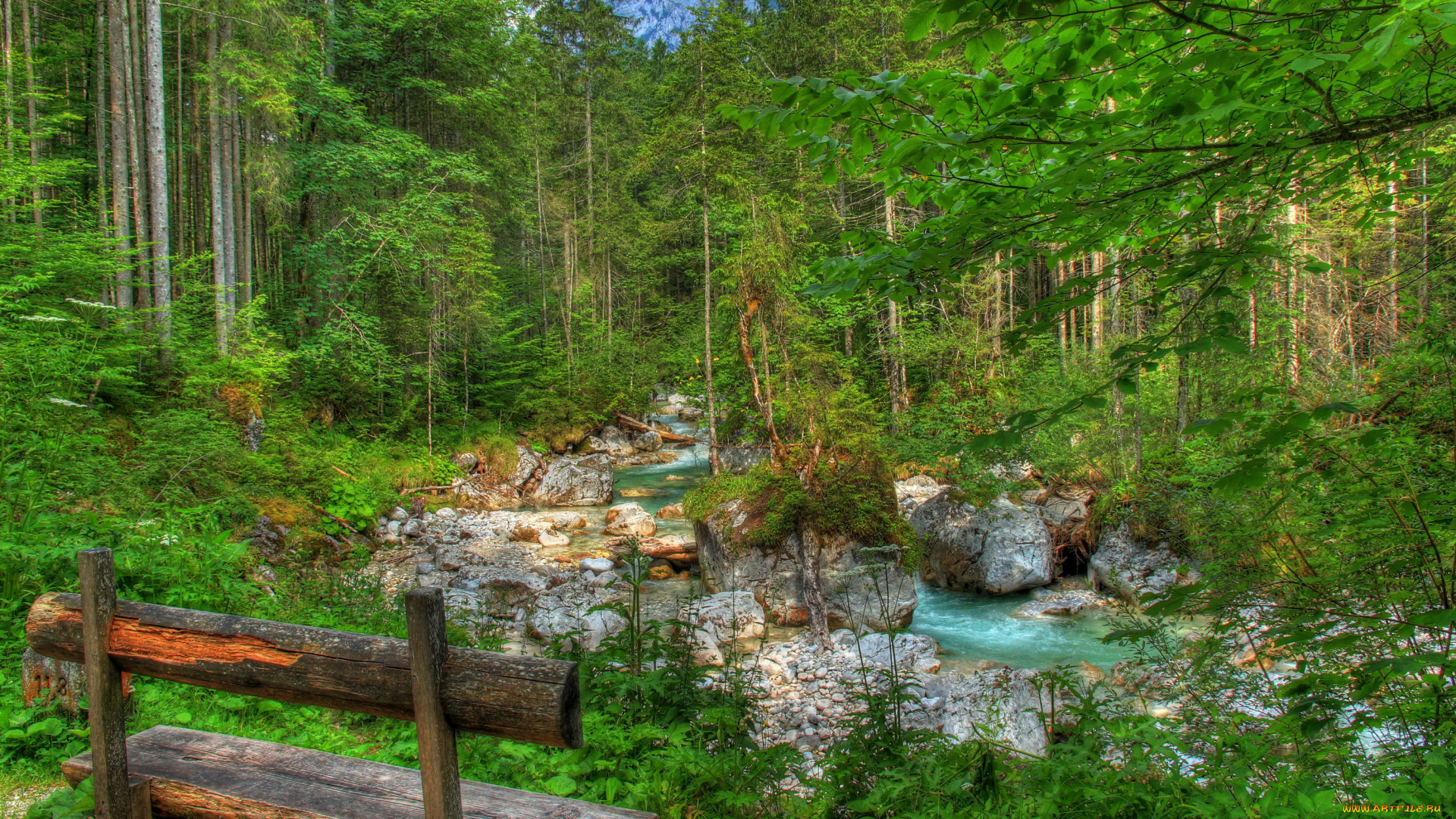 германия, бавария, рамзау, природа, лес, ручей