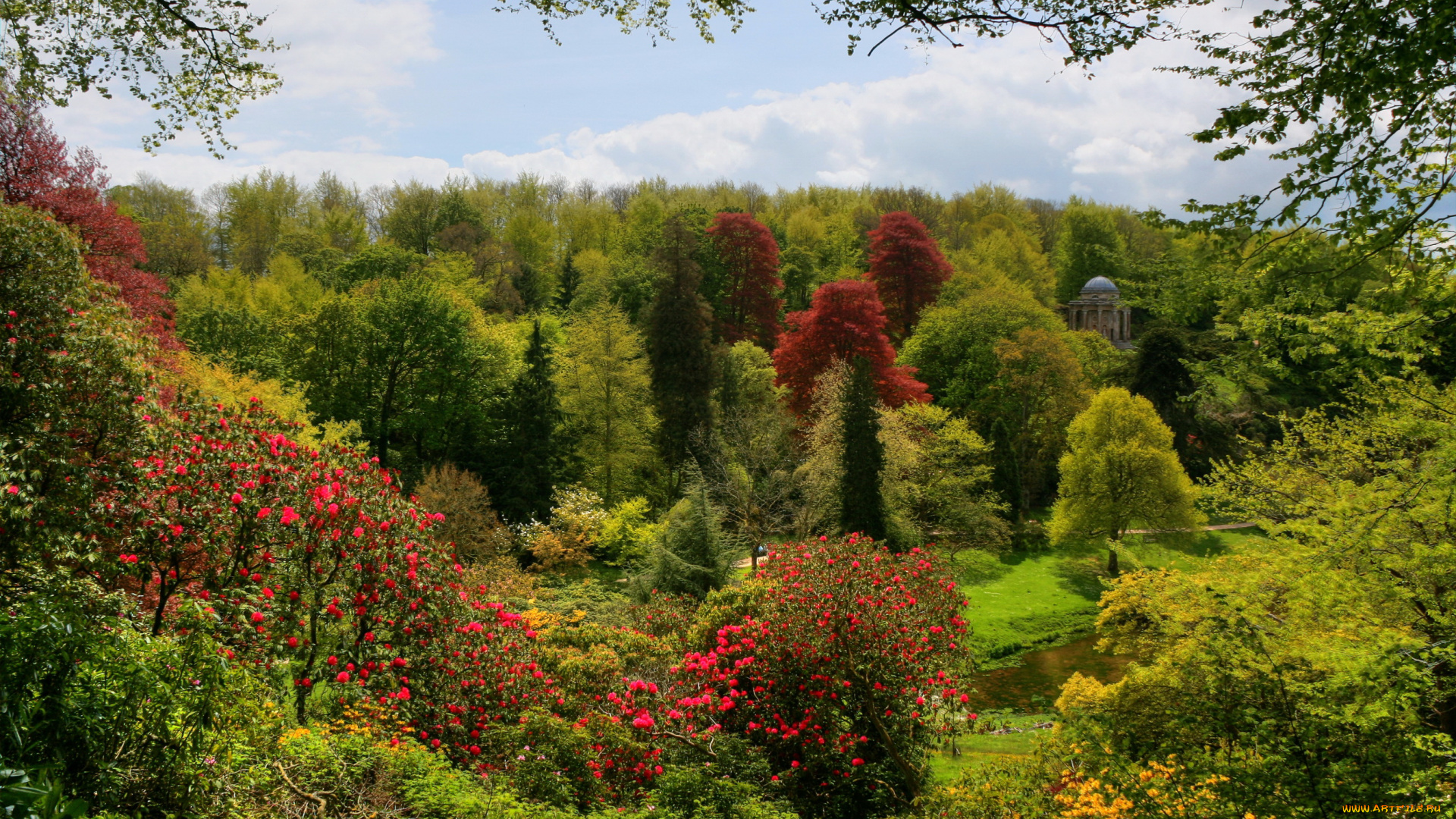 stourhead, gardens, англия, природа, парк, цветы, деревья, кусты
