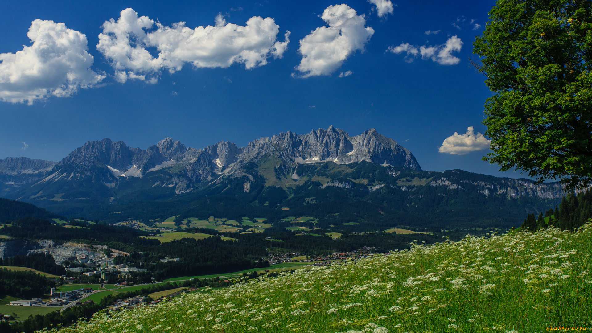 wilder, kaiser, austria, природа, горы, панорама, дерево, луг, альпы, австрия, гора, вильдер, кайзер, alps