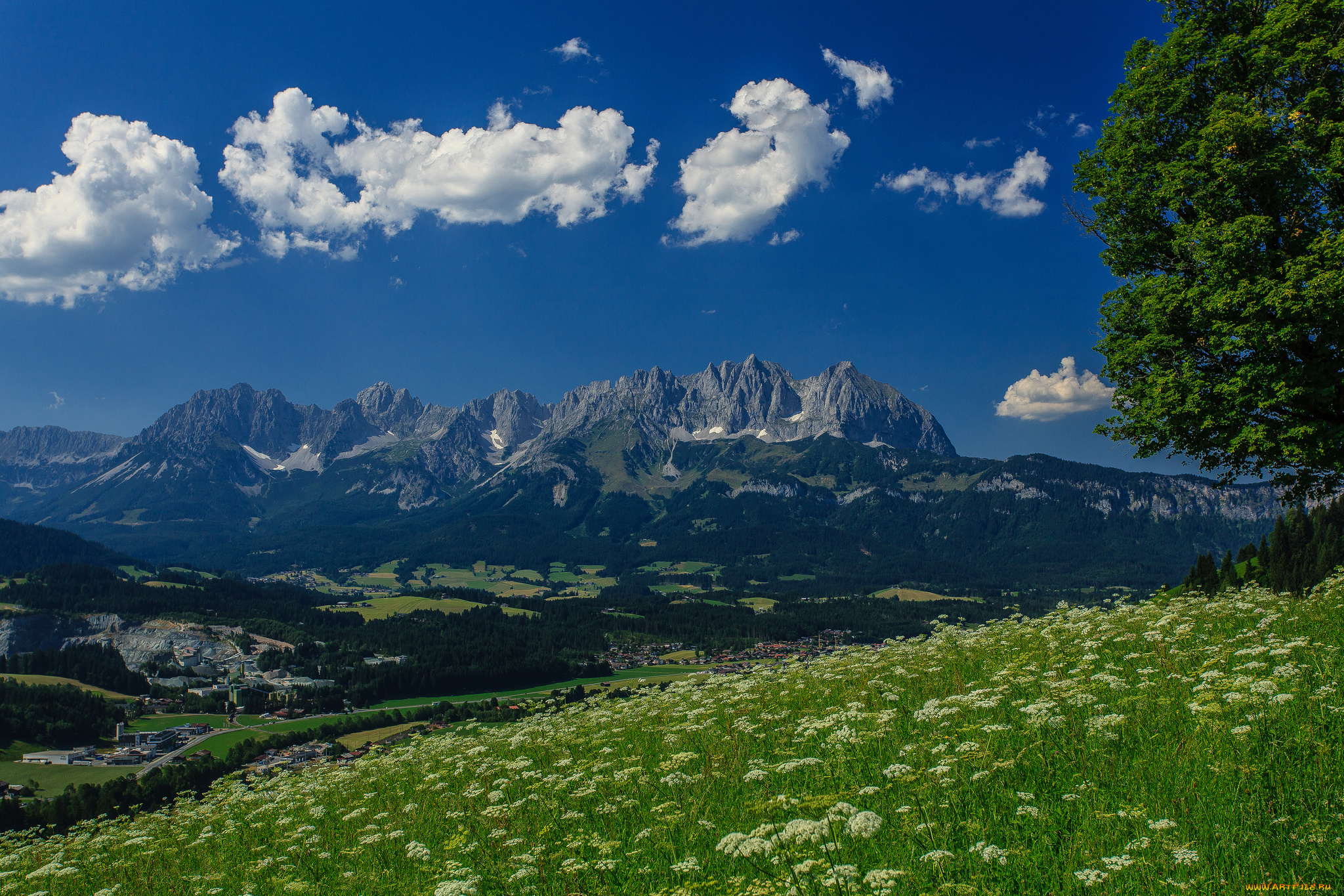 wilder, kaiser, austria, природа, горы, панорама, дерево, луг, альпы, австрия, гора, вильдер, кайзер, alps