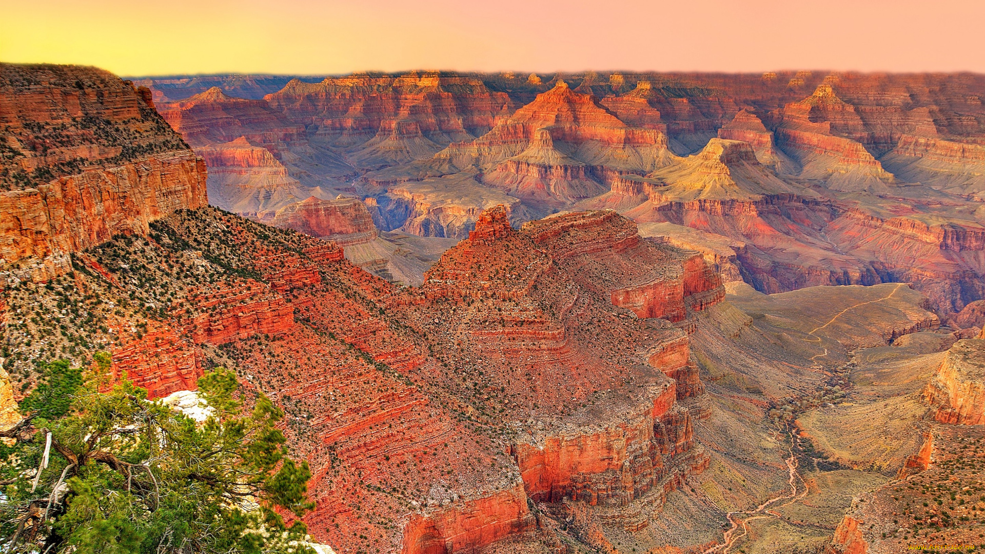 природа, горы, сша, аризона, grand, canyon, national, park, дерево, закат, каньон, небо, usa