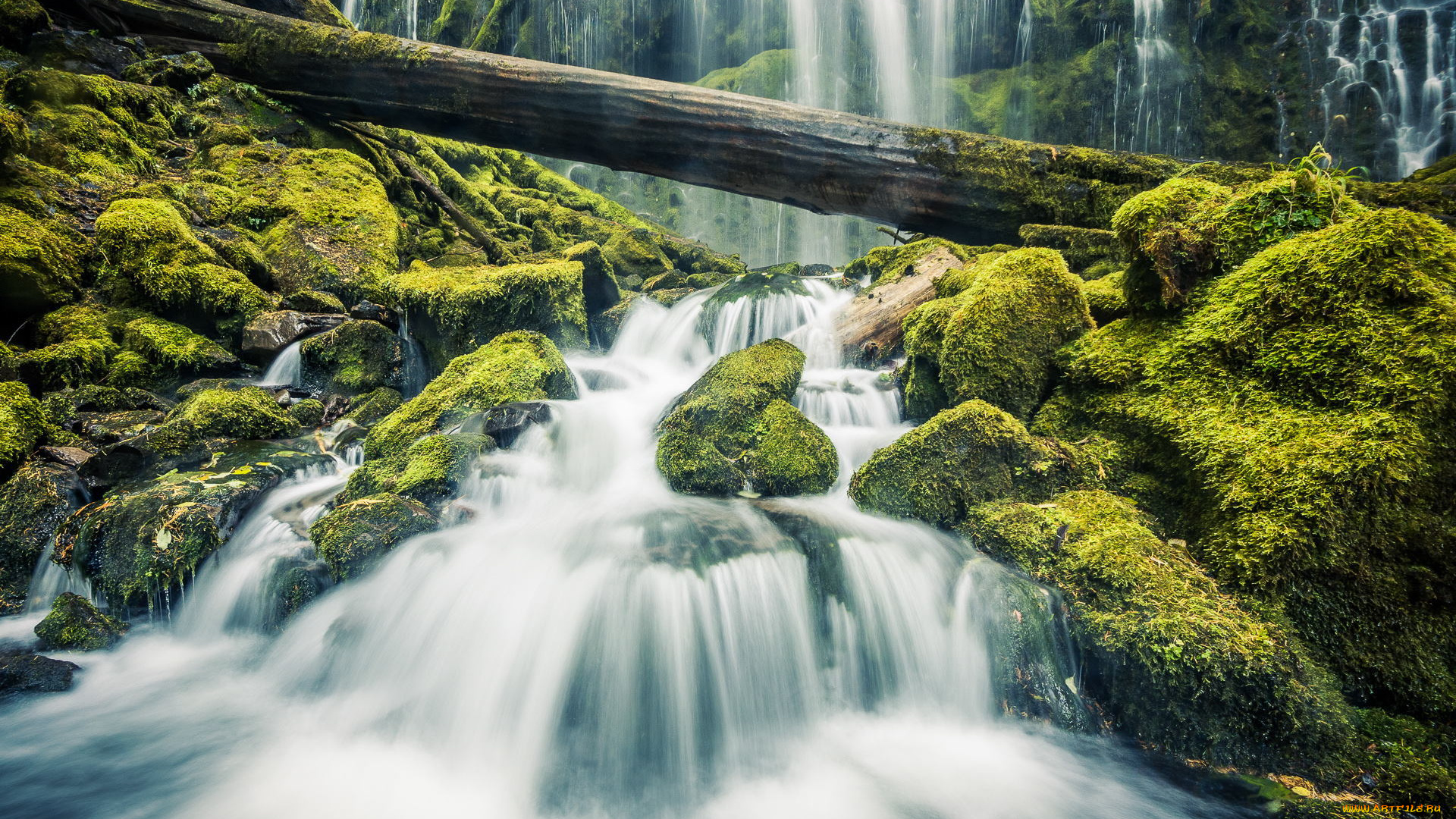 природа, водопады, водопад, пейзаж, мох, камни, лес