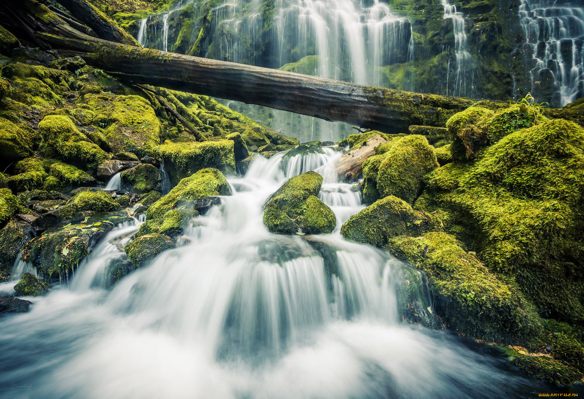 природа, водопады, водопад, пейзаж, мох, камни, лес