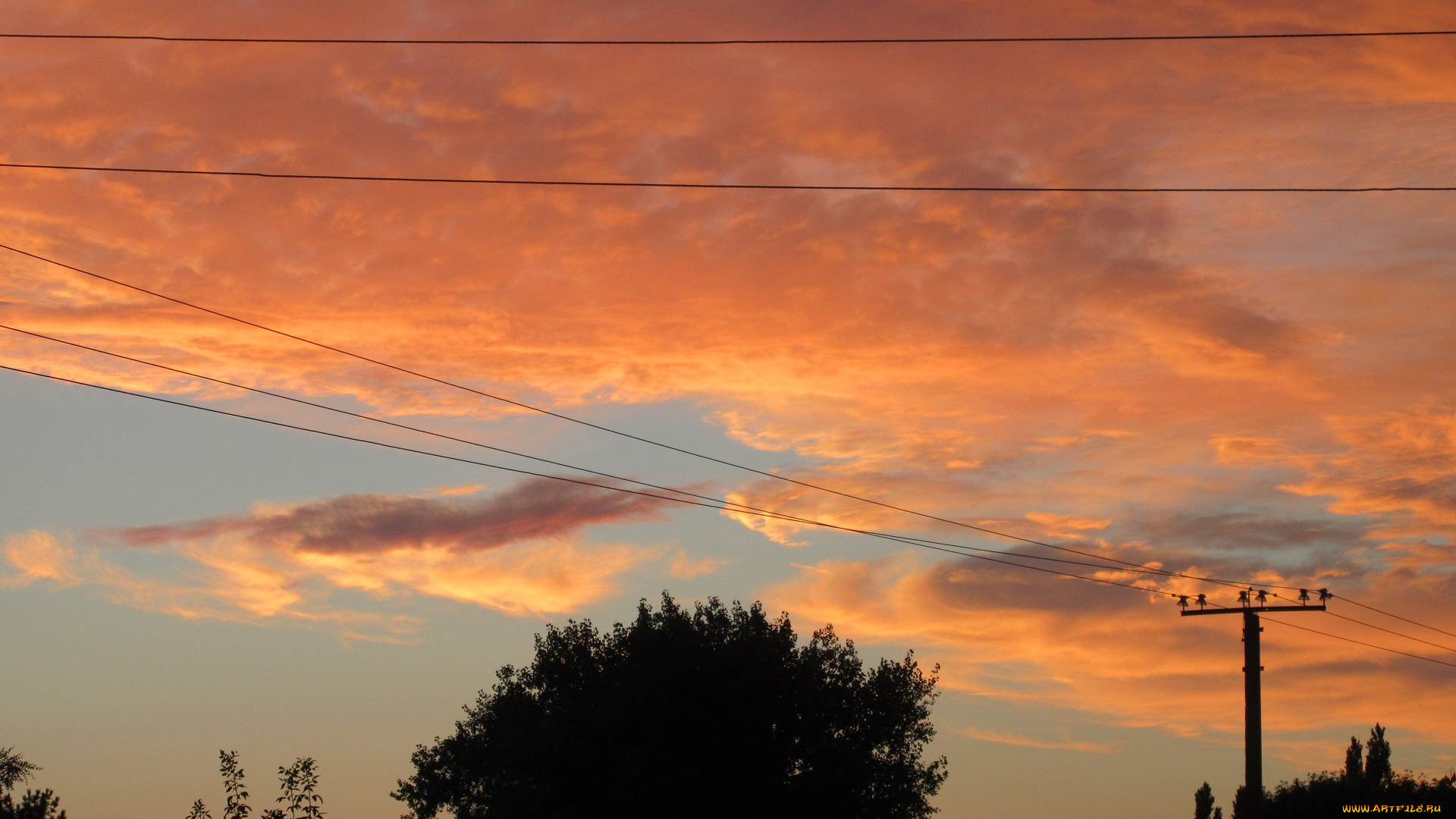 природа, облака, оранжевый, закат