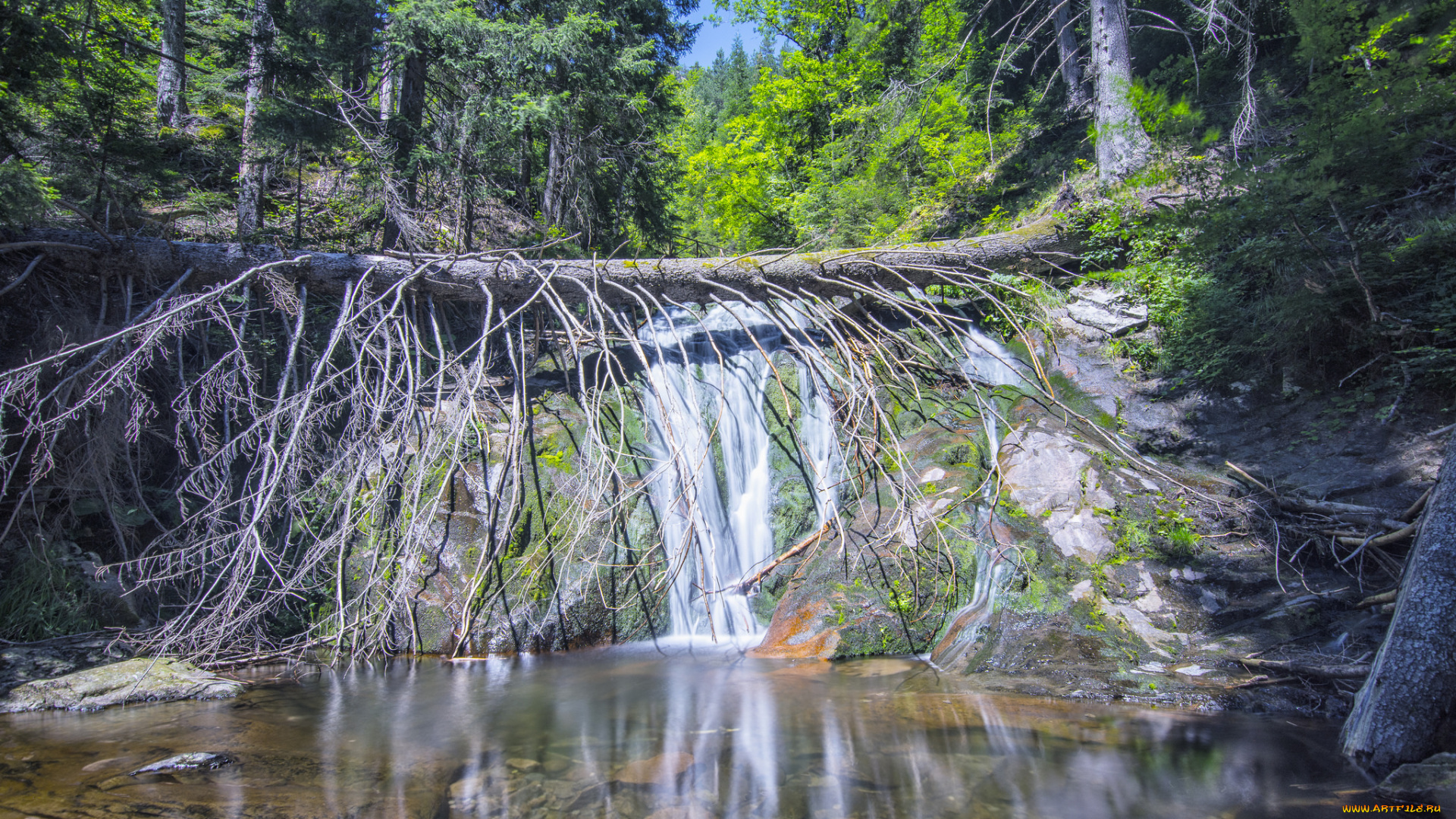 природа, водопады, река, водопад, лес