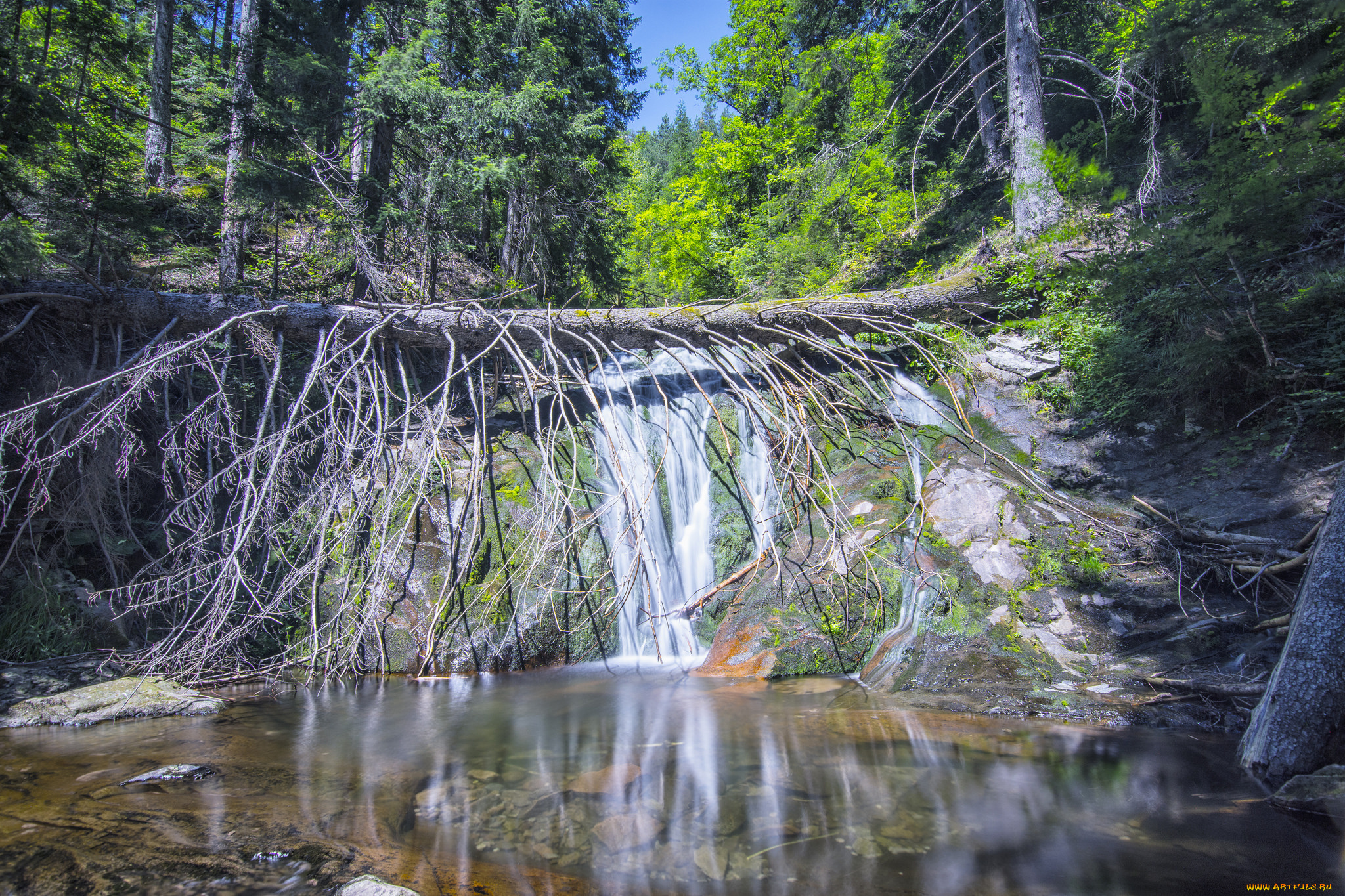 природа, водопады, река, водопад, лес