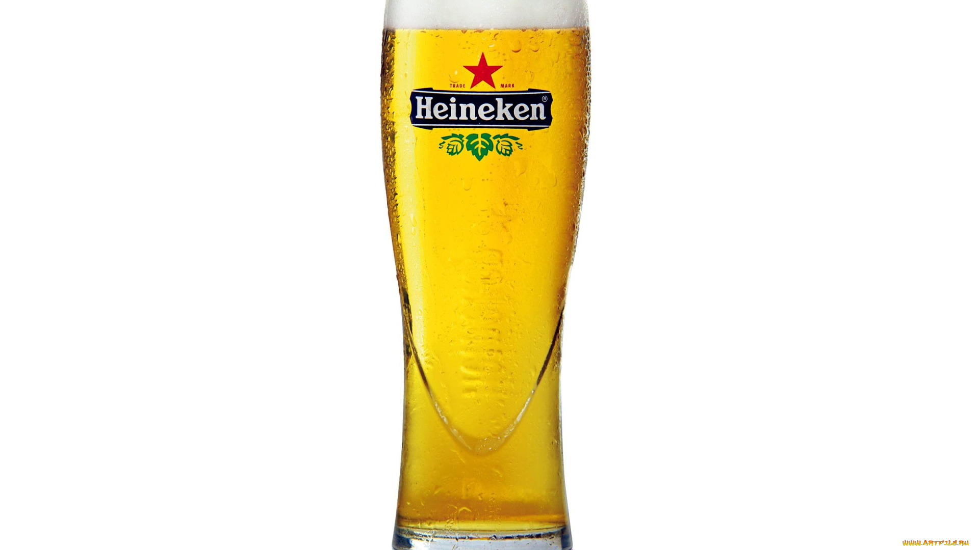 бренды, heineken, пиво