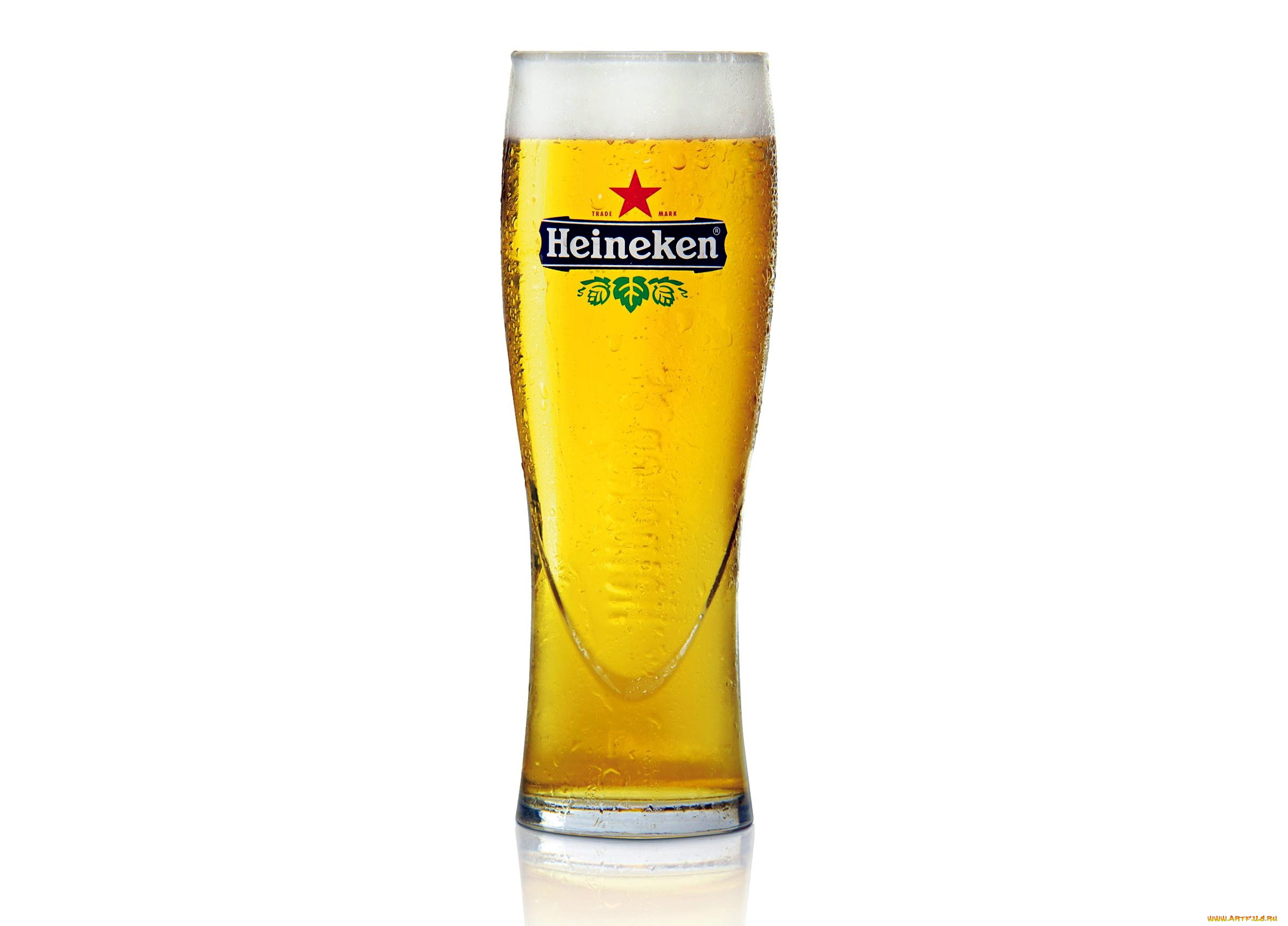 бренды, heineken, пиво