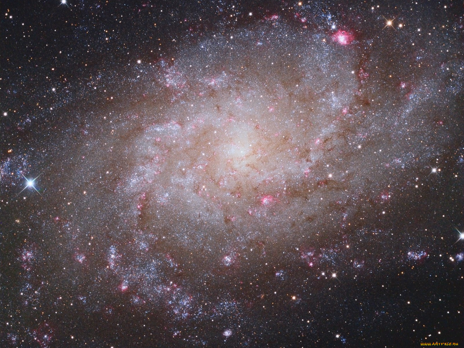 m33, космос, галактики, туманности