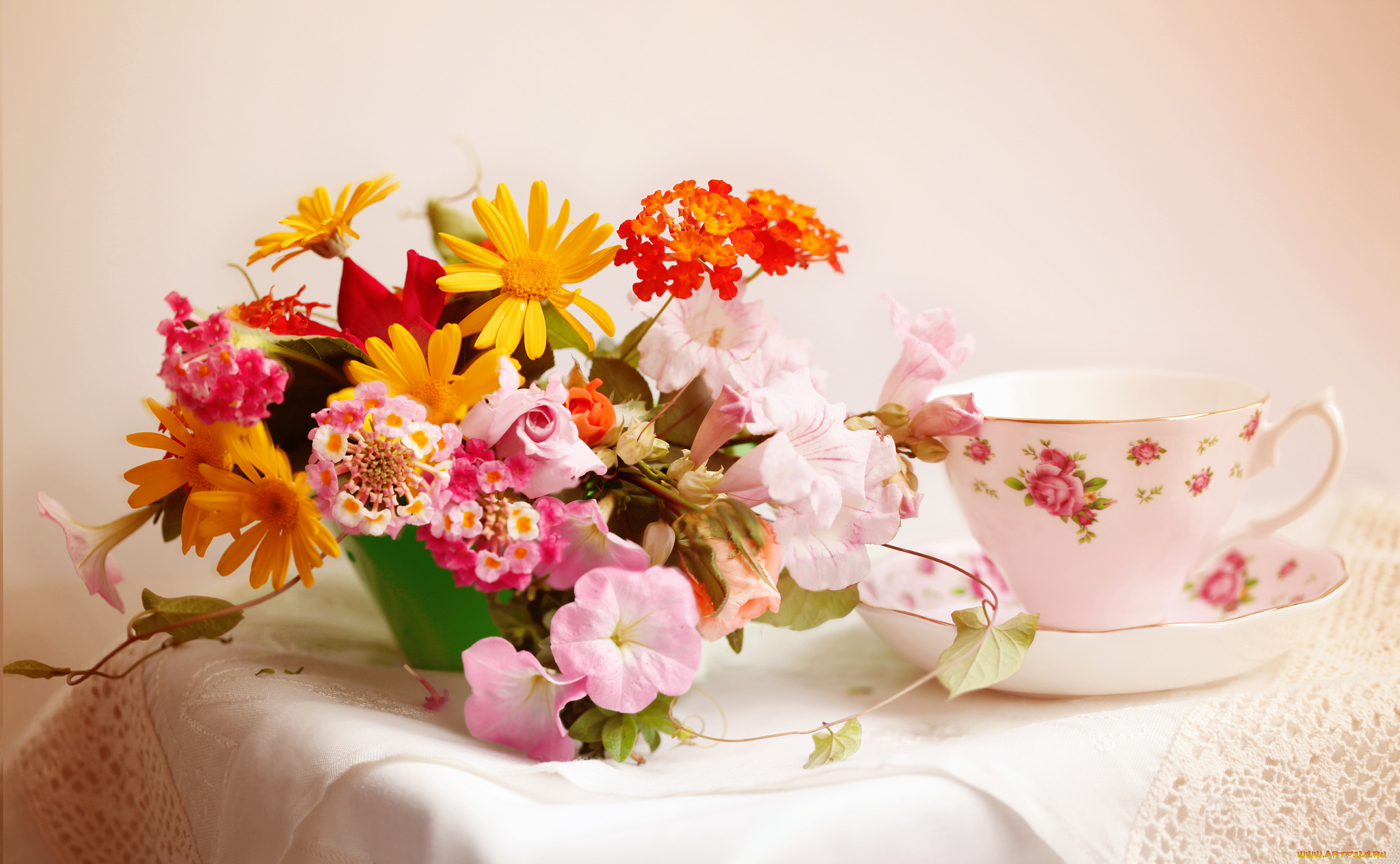 цветы, букеты, композиции, чашка, elena, di, guardo