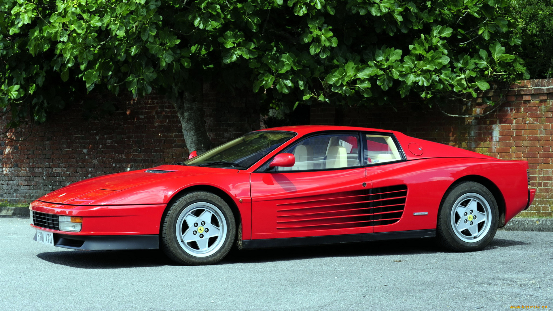 ferrari, 512, testarossa, автомобили, италия, спортивные, s, p, a, гоночные