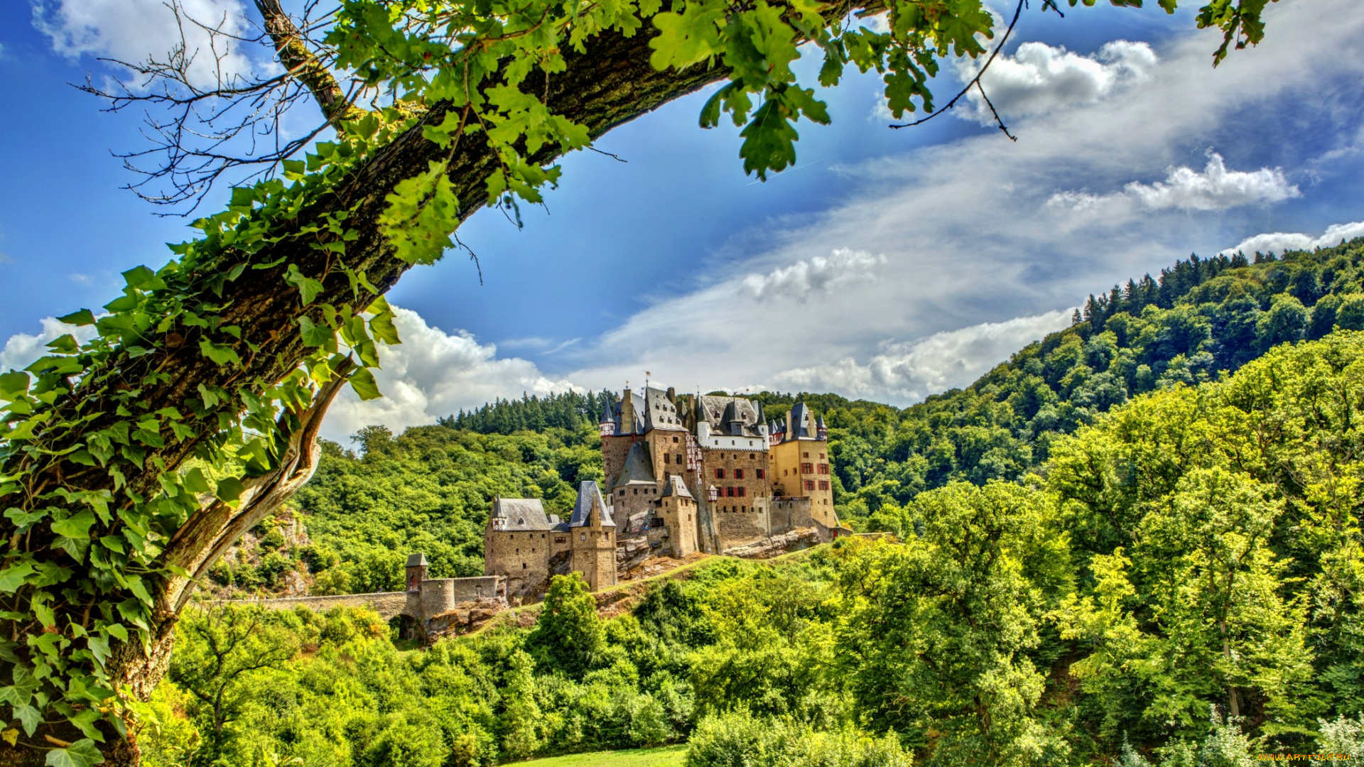 города, дворцы, замки, крепости, горы, леса, замок, eltz, castle