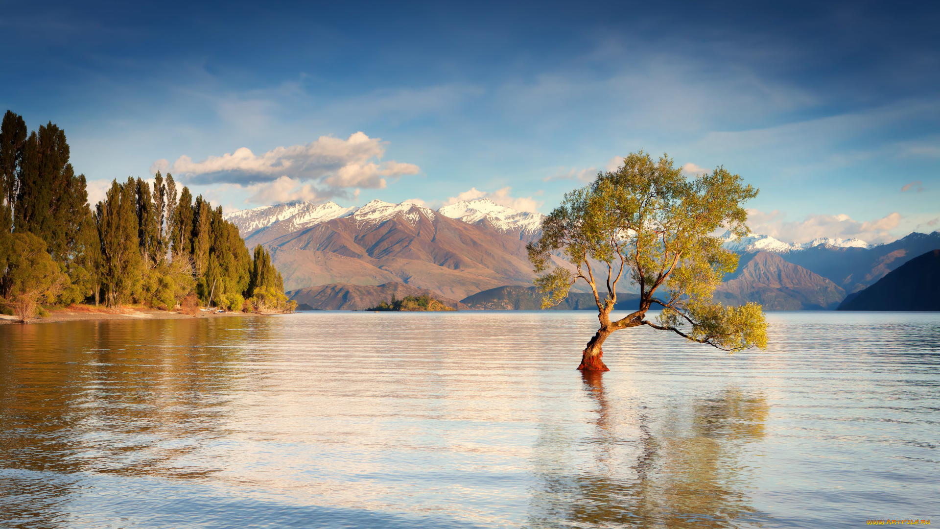 природа, реки, озера, дерево, вода, утро, горы, озеро, уанака, остров, южный, новая, зеландия