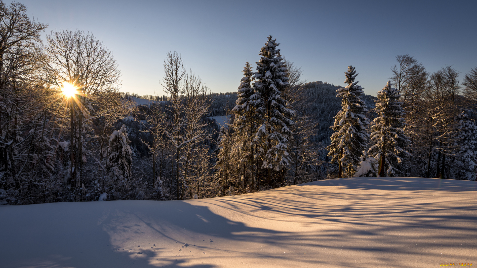 природа, зима, швейцария, санкт-галлен, hulftegg, утро, солнце, лес, снег