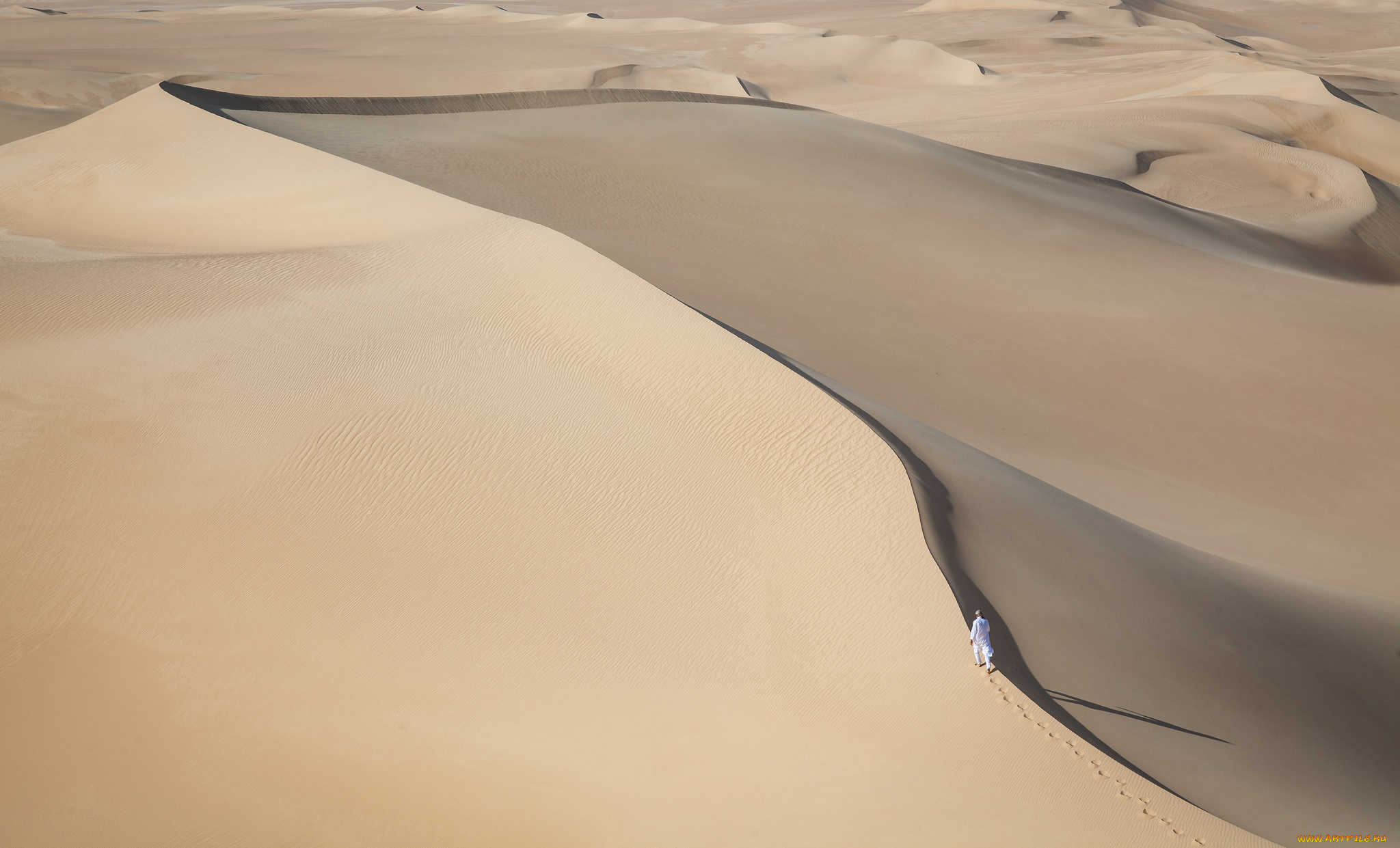 природа, пустыни, человек, сахара, барханы, дюны, песок, пустыня