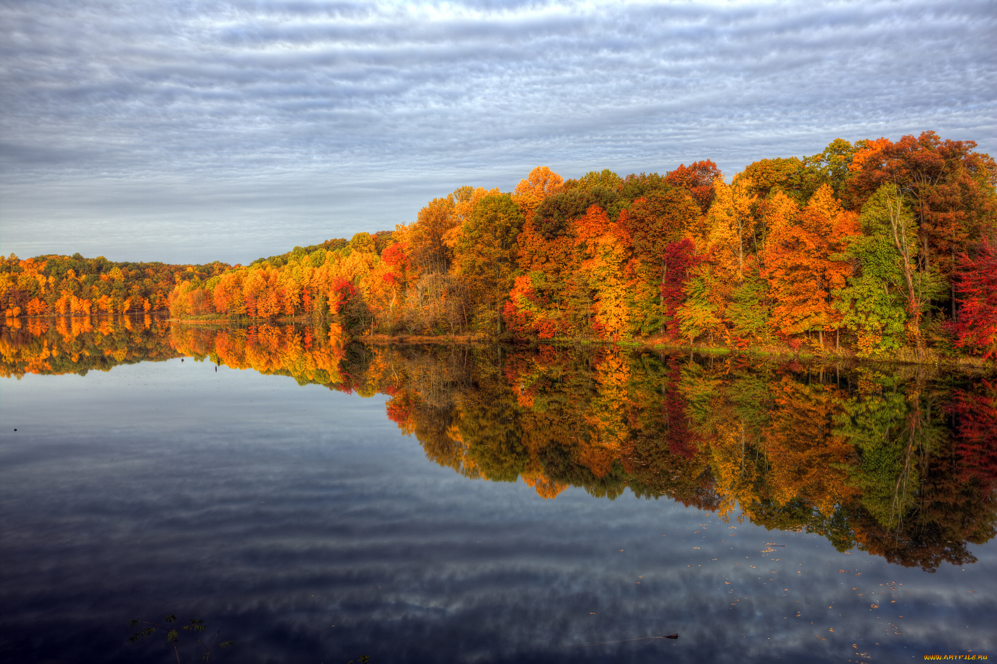 природа, реки, озера, отражения, небо, деревья, вода, осень, краски