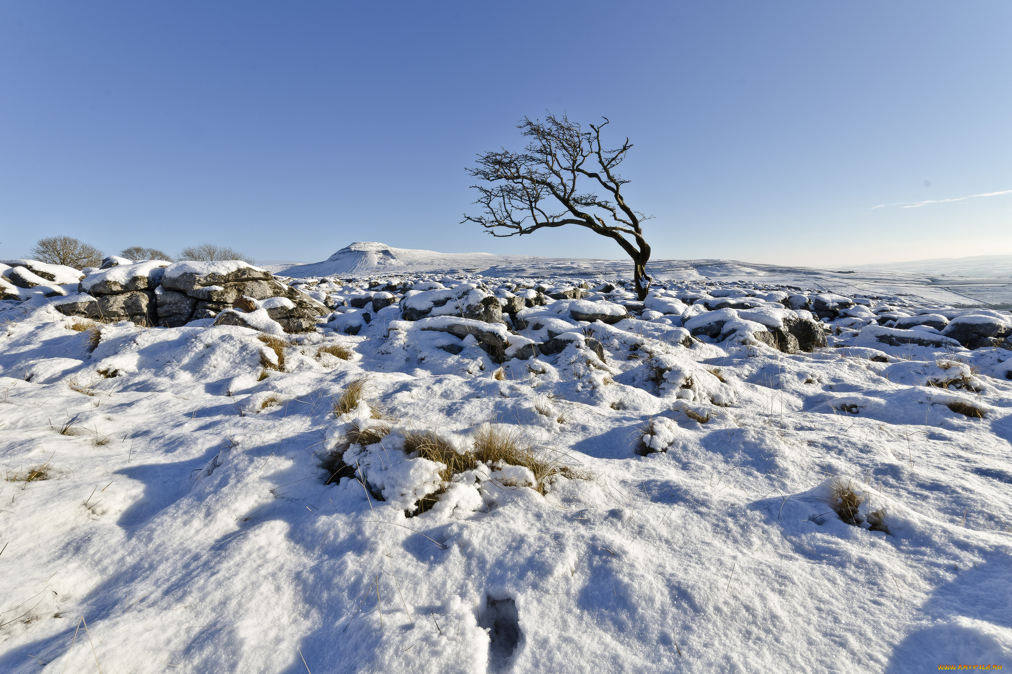 природа, зима, великобритания, дерево, снег, ingleton, северный, йоркшир, англия, john, ormerod, photography, небо