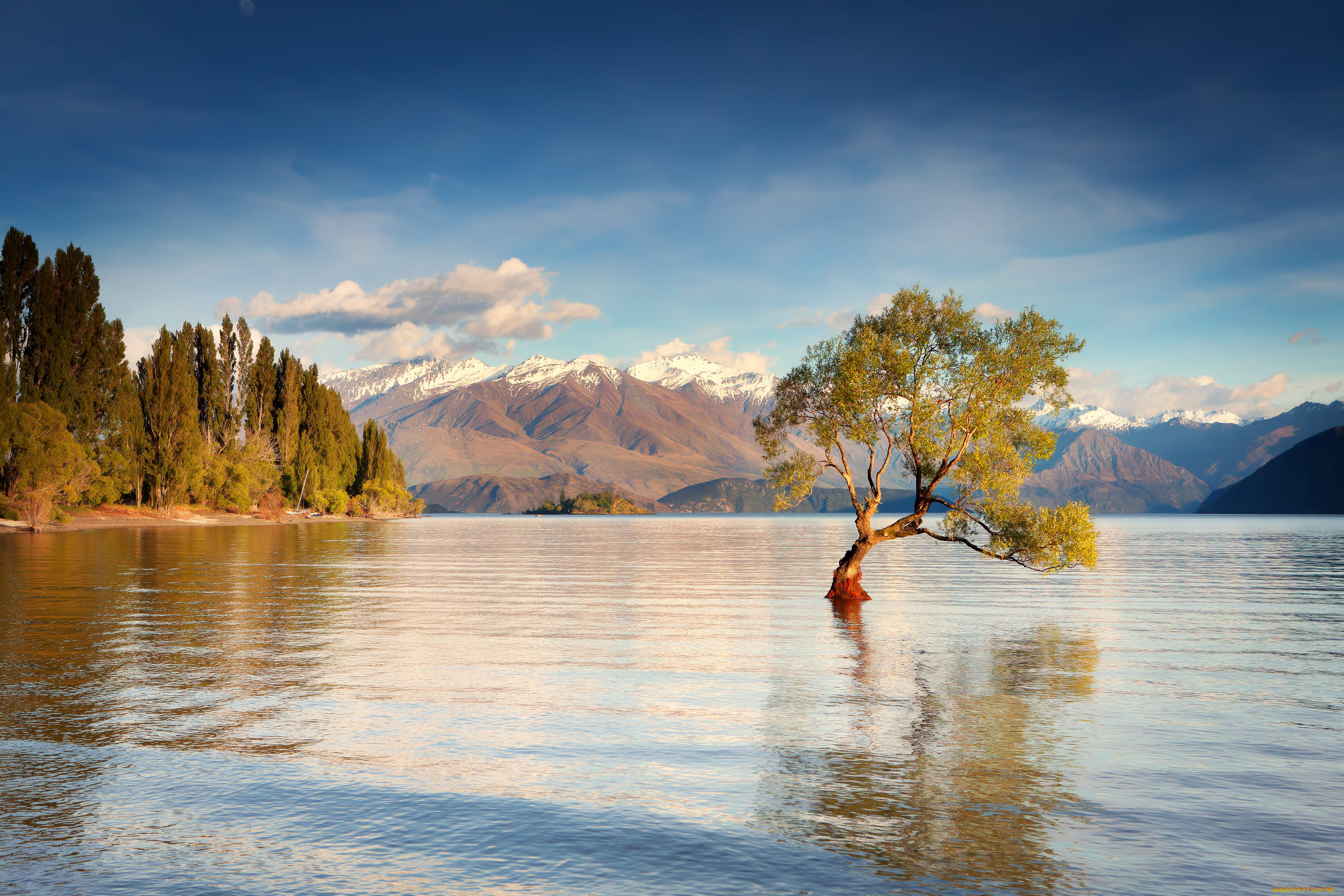 природа, реки, озера, дерево, вода, утро, горы, озеро, уанака, остров, южный, новая, зеландия