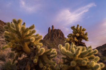 Картинка природа горы скала кактусы