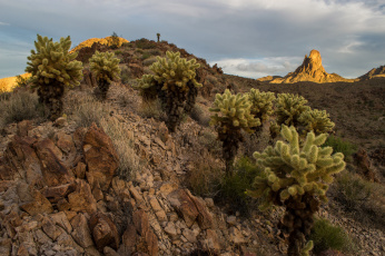 Картинка природа горы скалы кактусы