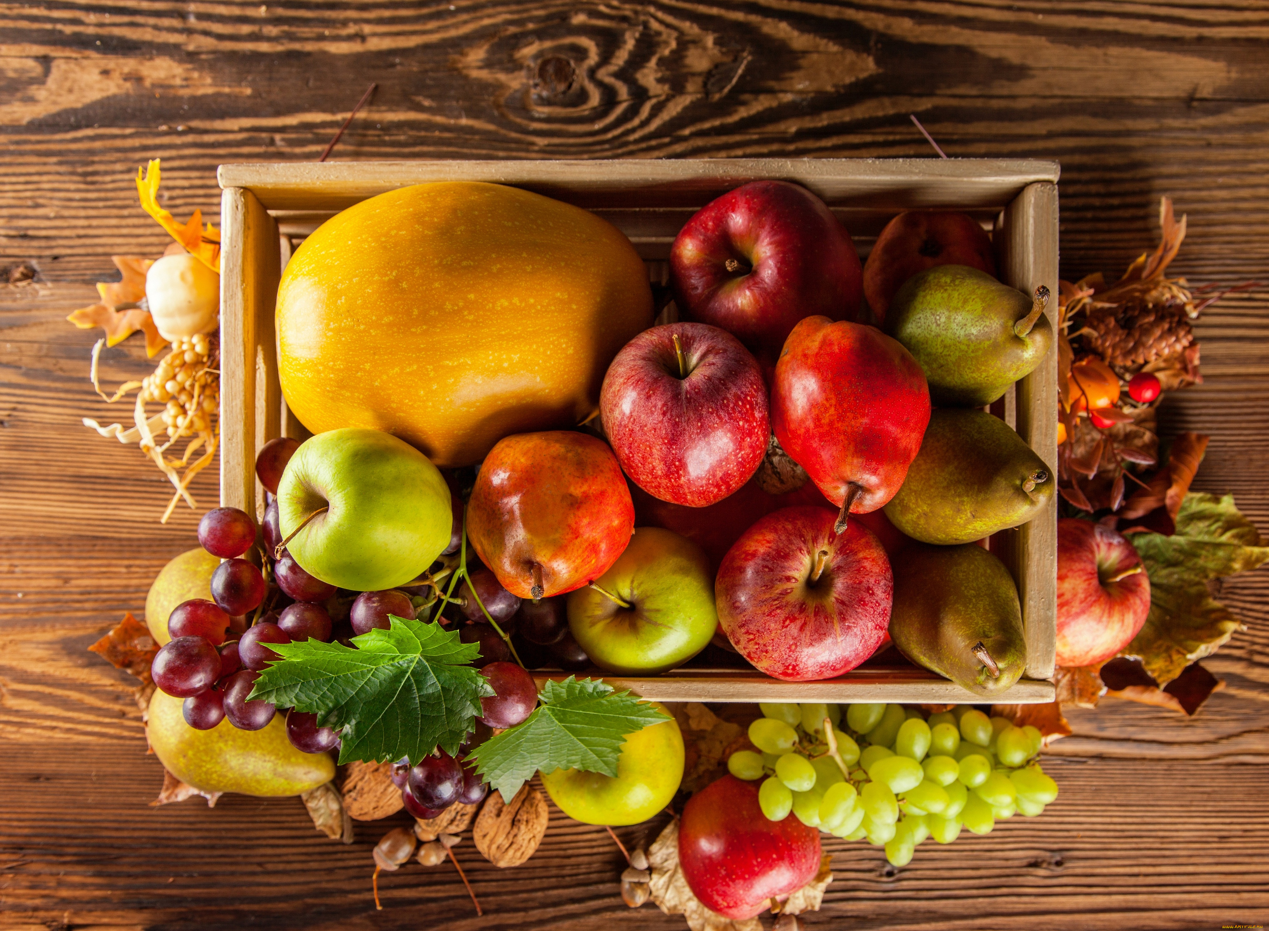 еда, фрукты, и, овощи, вместе, ящик, листья, виноград, груша, тыква