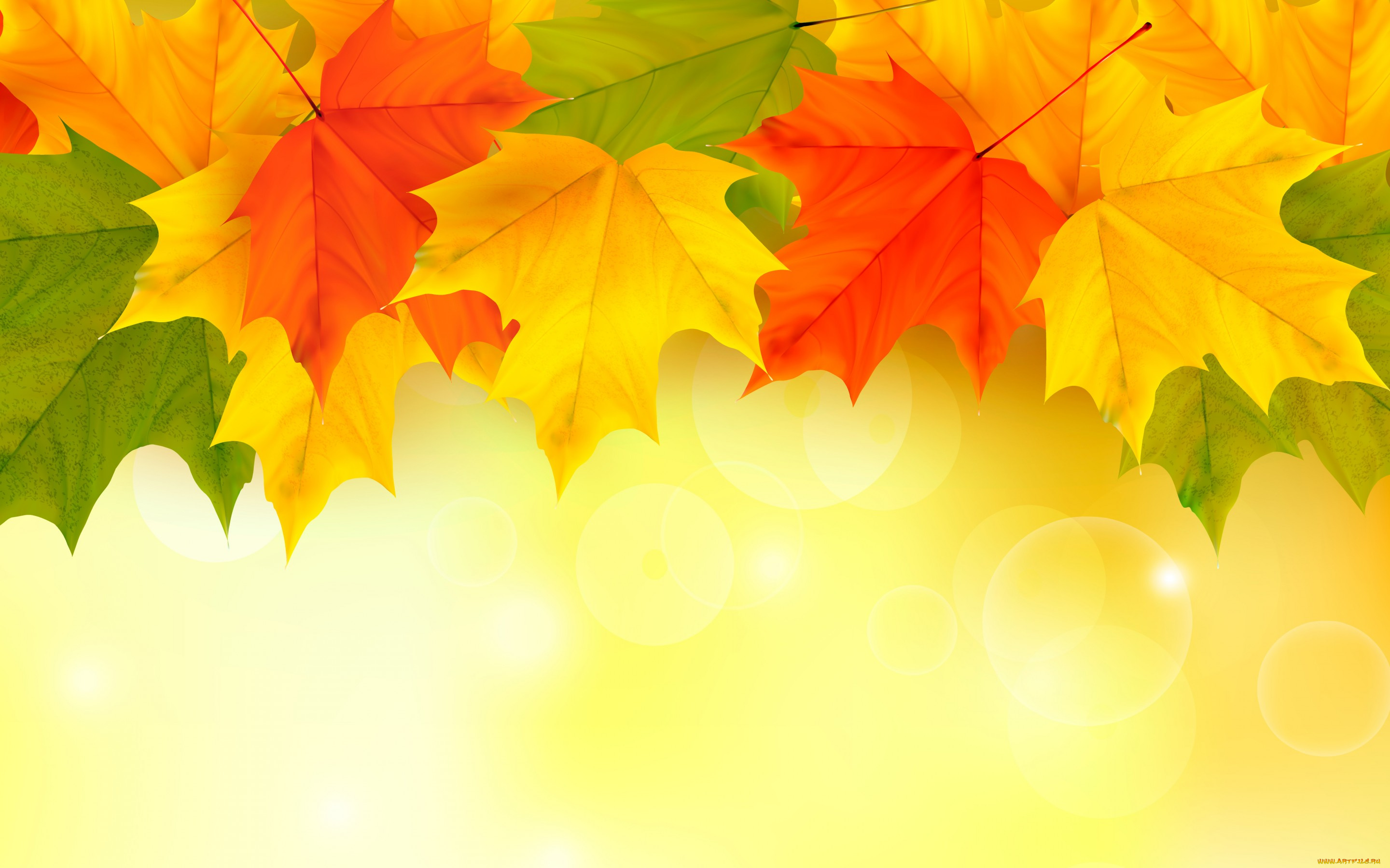 векторная, графика, природа, , nature, autumn, leaves, maple, листья, осенние, фон