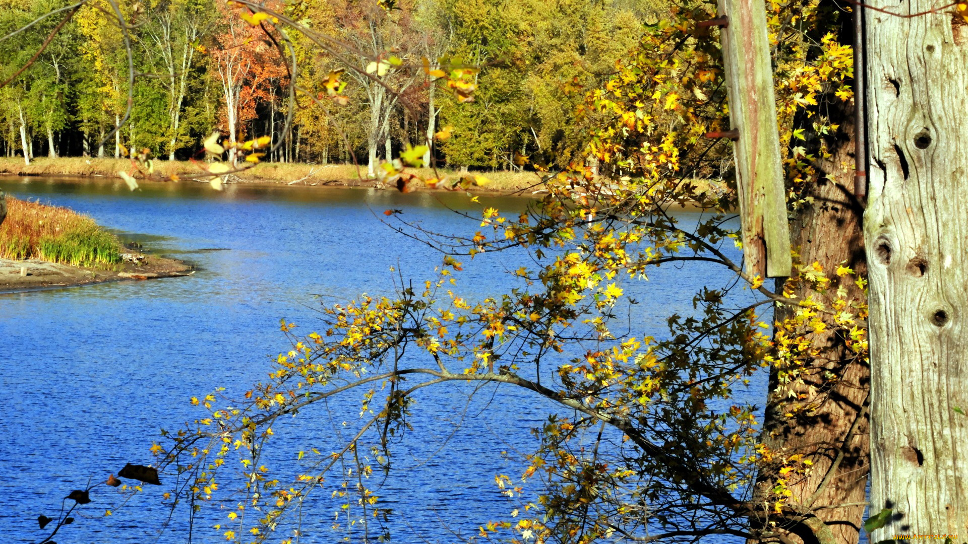 природа, реки, озера, осень