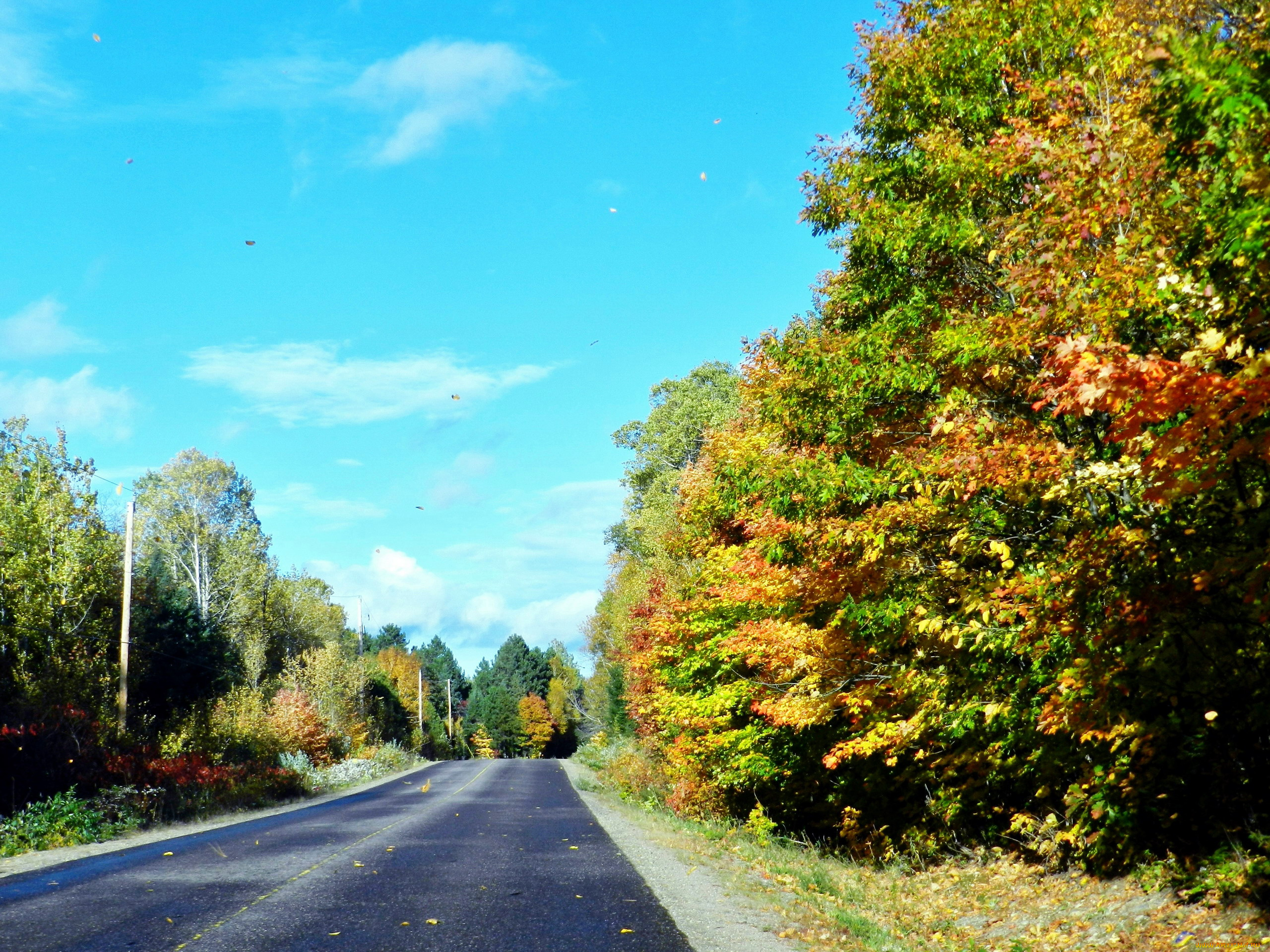 природа, дороги, шоссе, осень