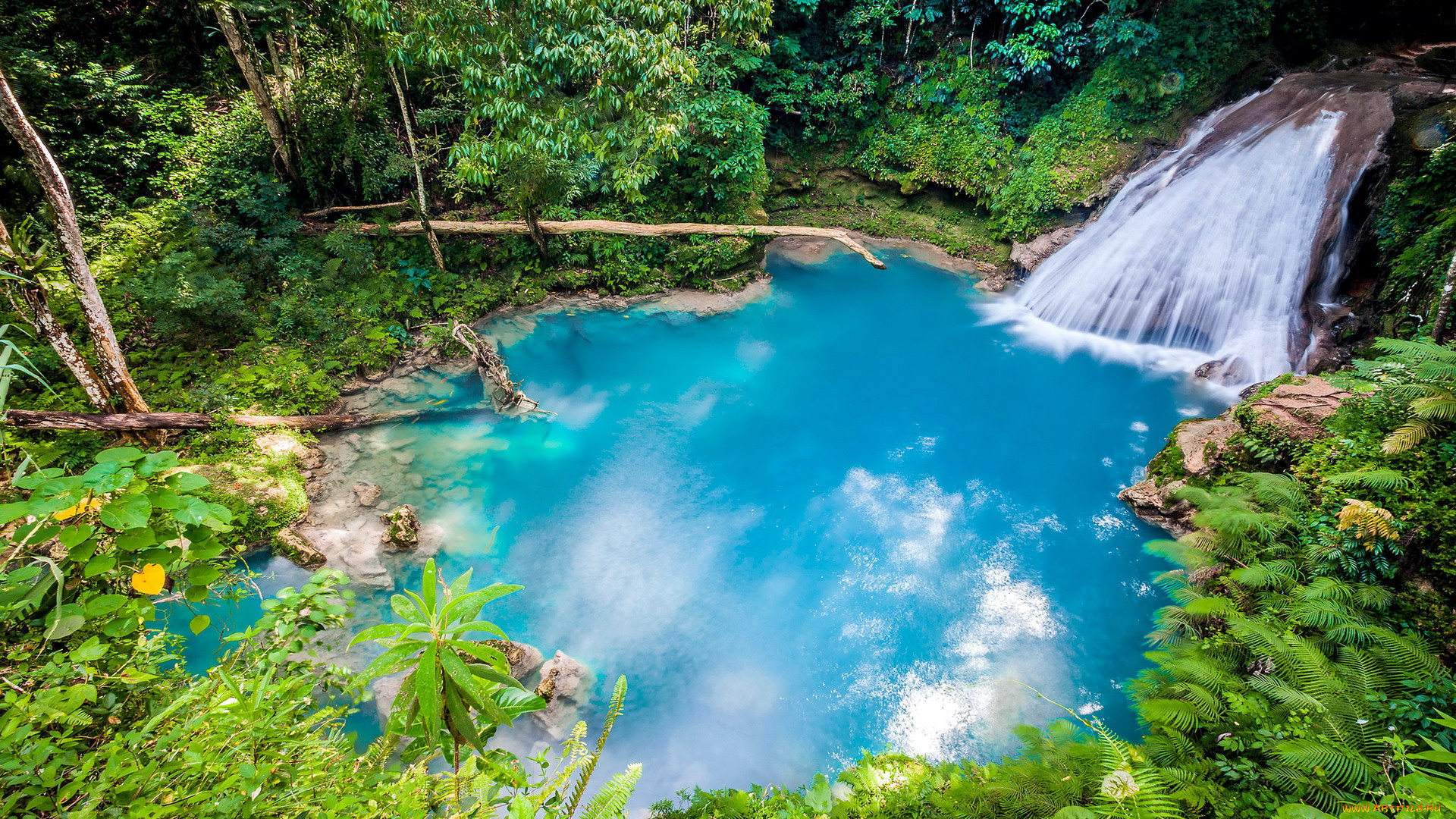 the, blue, hole, in, ocho, rios, , jamaica, природа, водопады, the, blue, hole, in, ocho, rios, jamaica