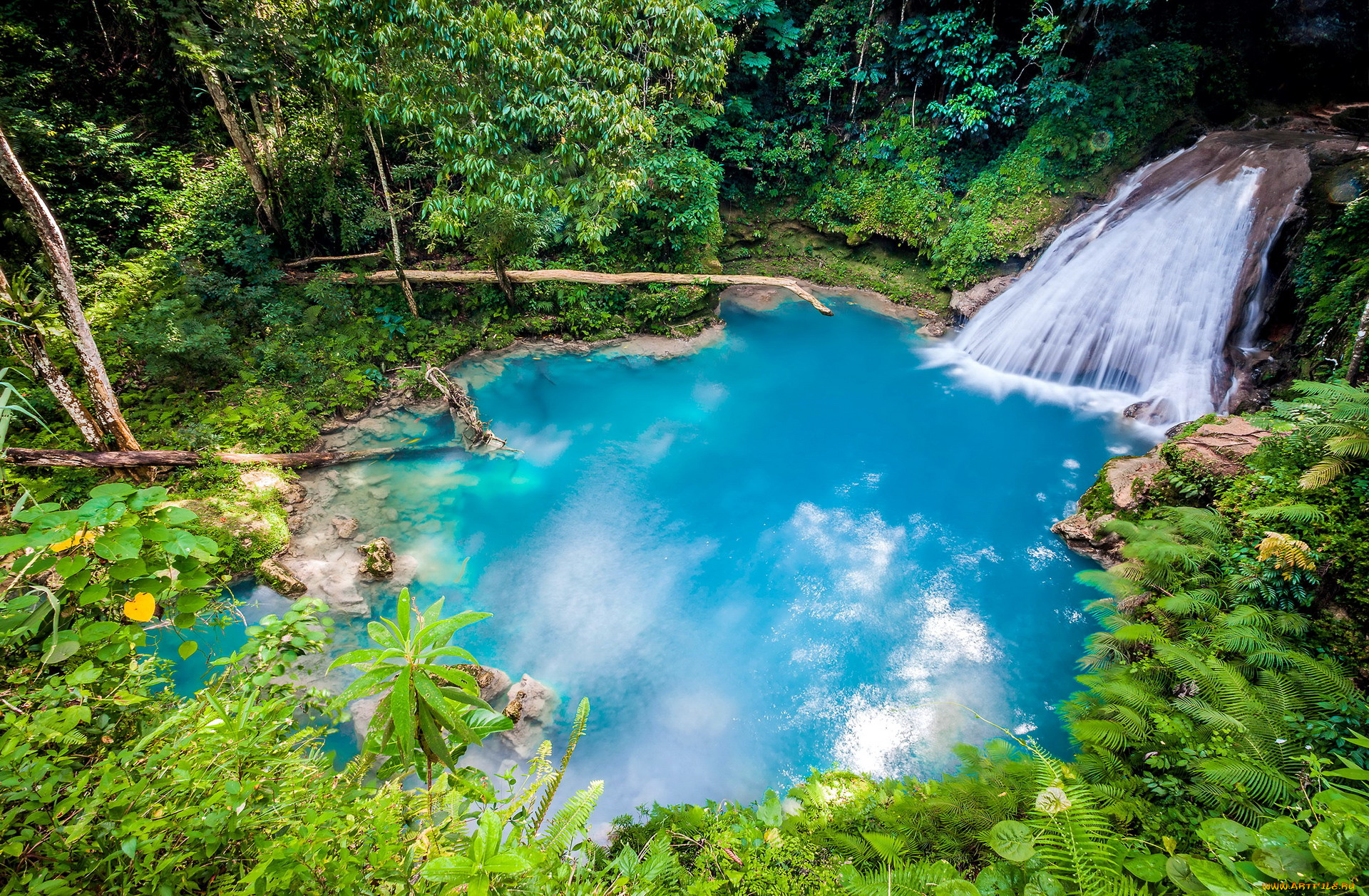 the, blue, hole, in, ocho, rios, , jamaica, природа, водопады, the, blue, hole, in, ocho, rios, jamaica