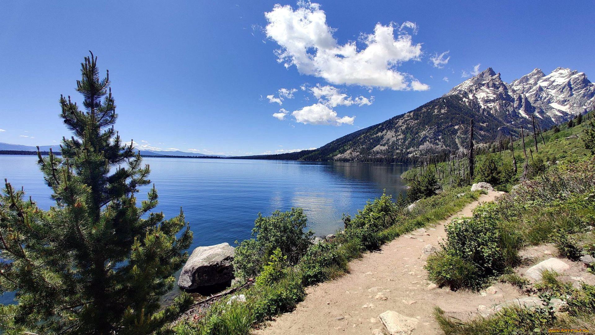 jenny, lake, grand, teton, national, park, природа, реки, озера, jenny, lake, grand, teton, national, park