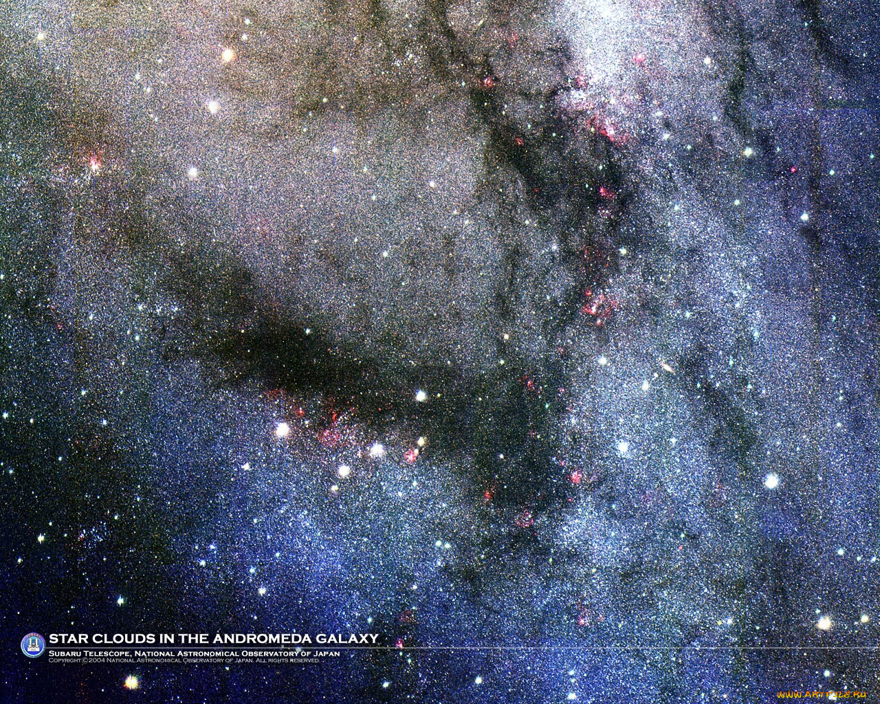 андромеда, космос, галактики, туманности