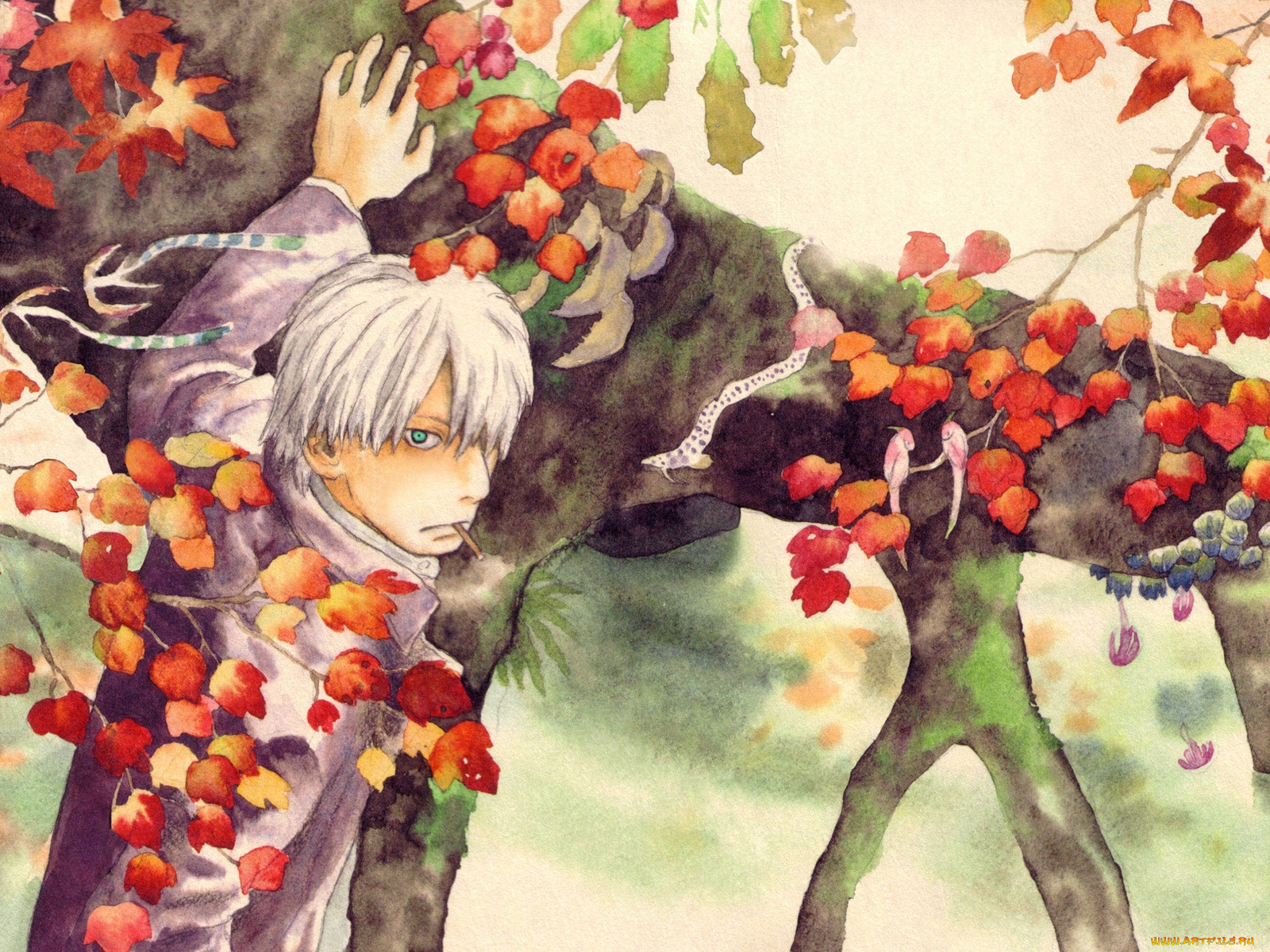 аниме, mushishi