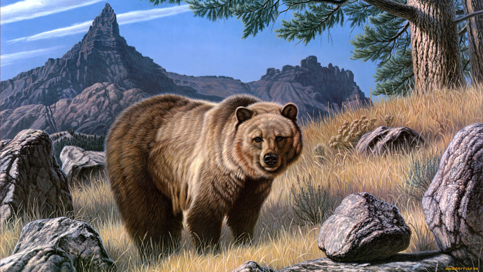 grizzly, country, рисованные, paul, krapf, гризли, медведь