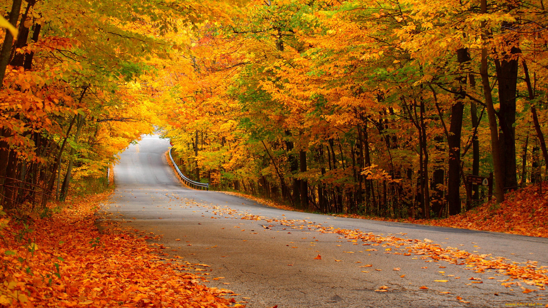 природа, дороги, дорога, лес, осень