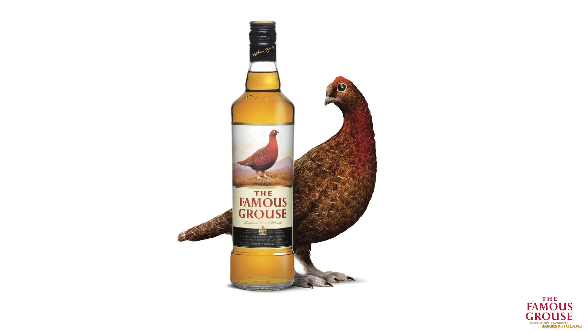 the, famous, grouse, бренды, виски, whisky