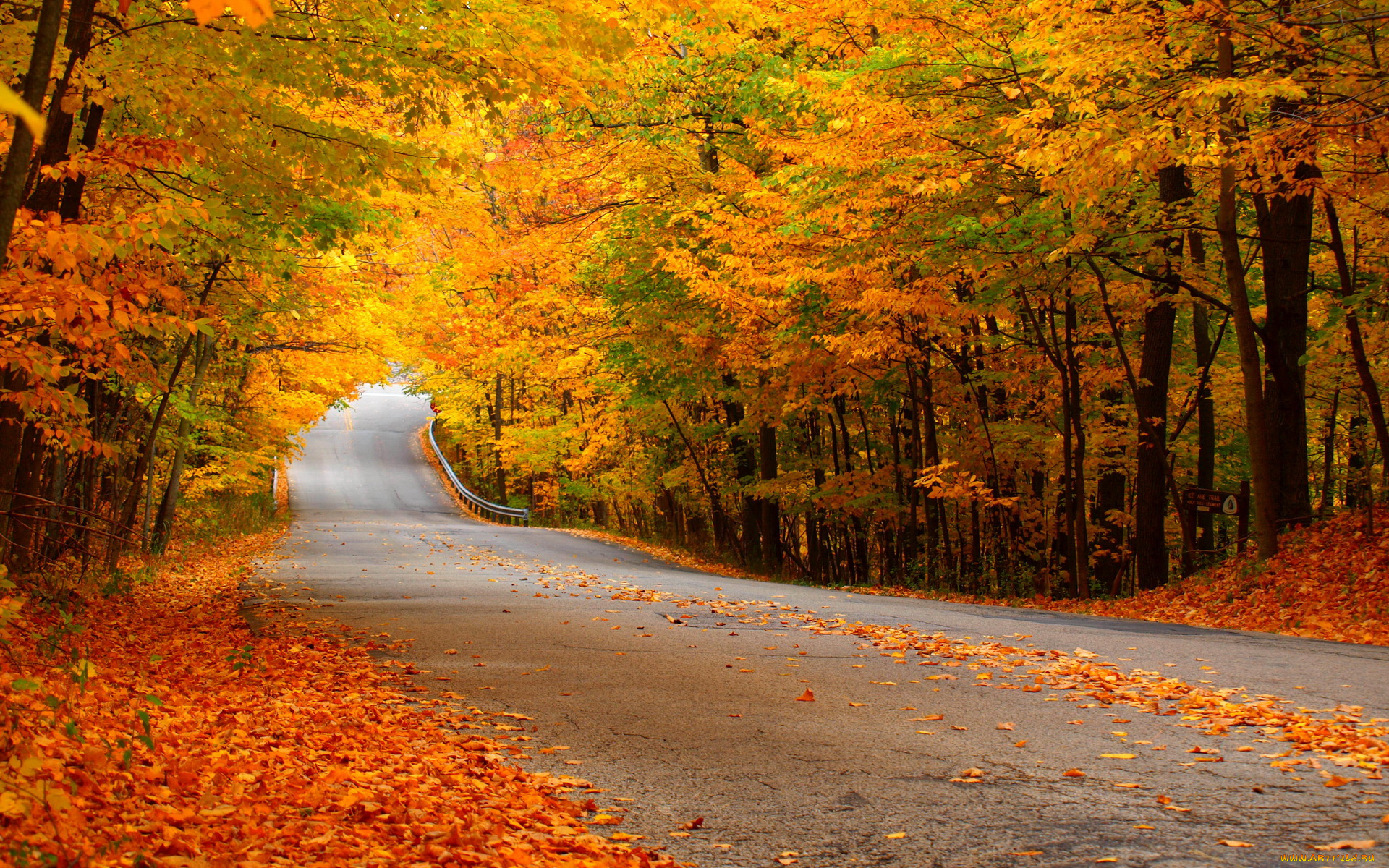 природа, дороги, дорога, лес, осень