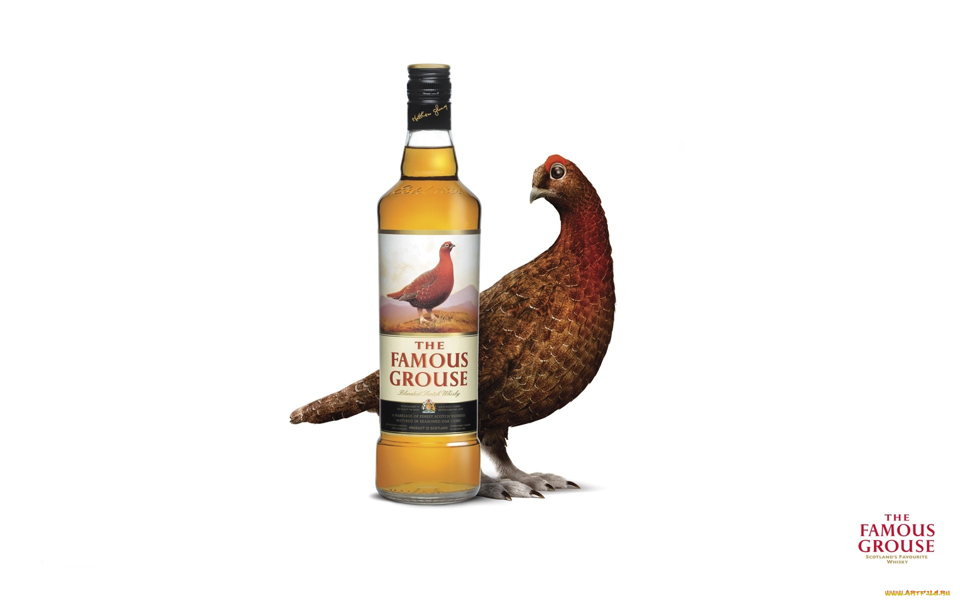 the, famous, grouse, бренды, виски, whisky