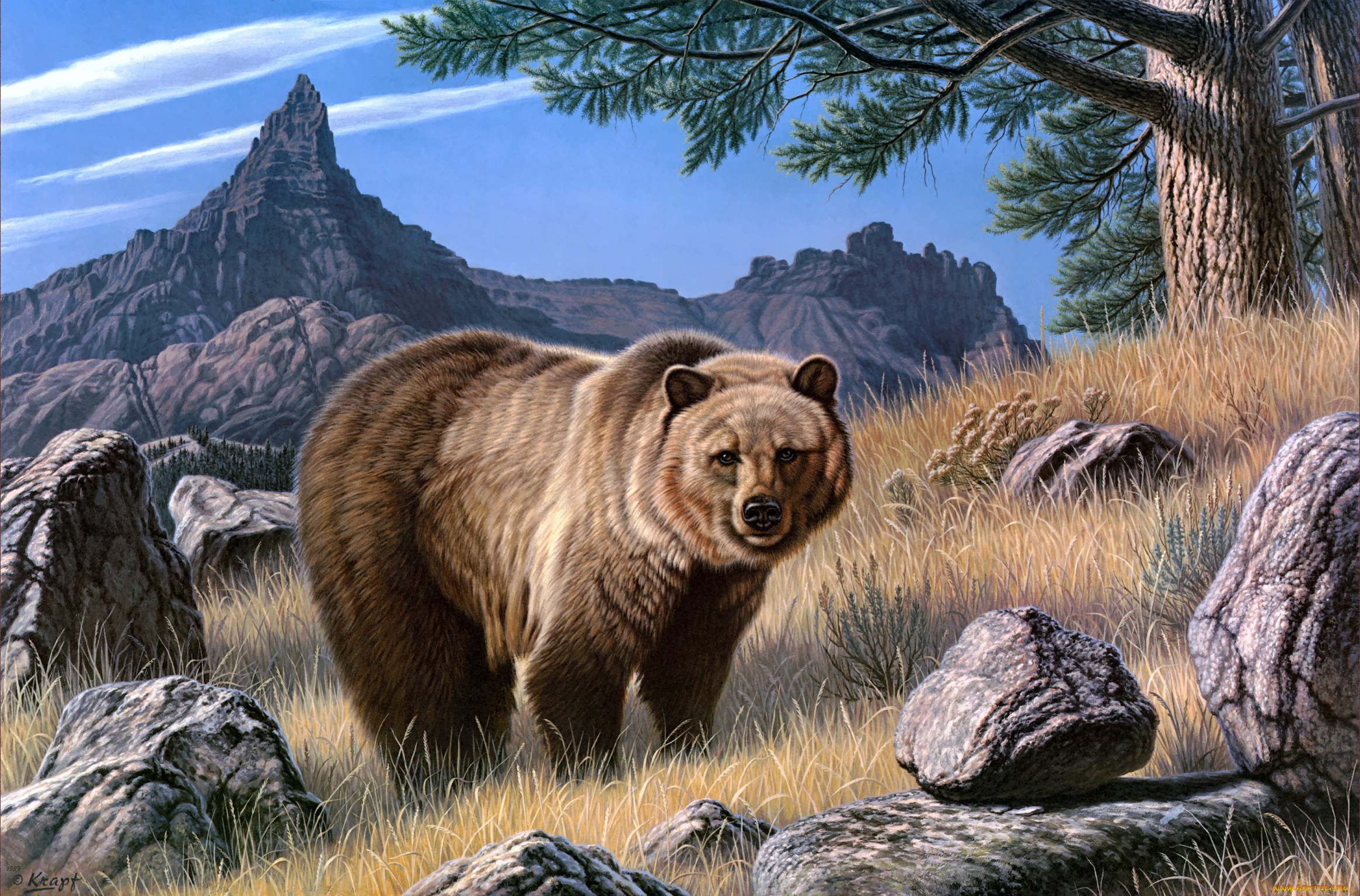 grizzly, country, рисованные, paul, krapf, гризли, медведь