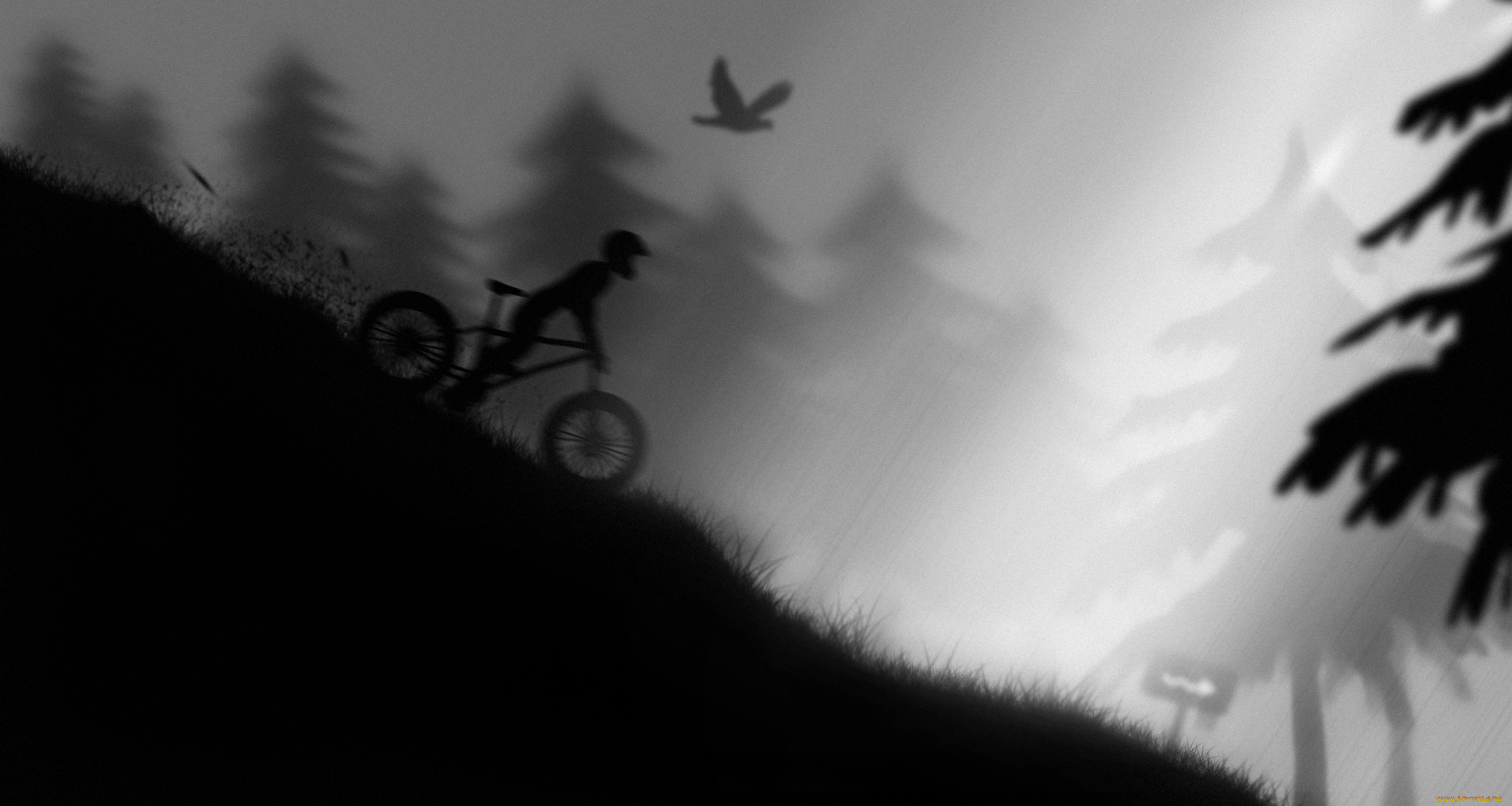 ночной, гонщик, рисованные, другое, лес, черно-белое, велосипед