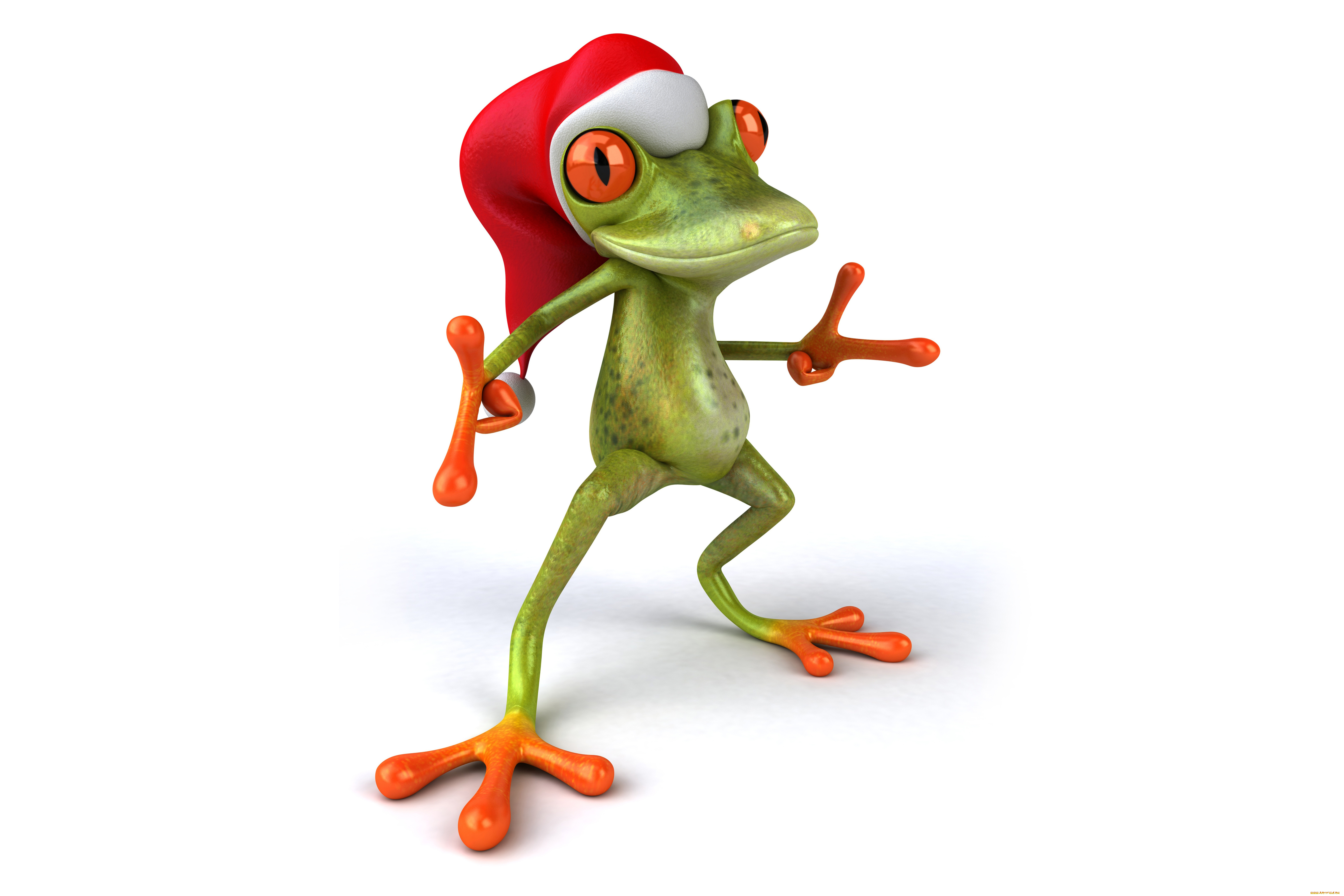 3д, графика, юмор, , humor, frog, funny, лягушка, santa, hat, christmas