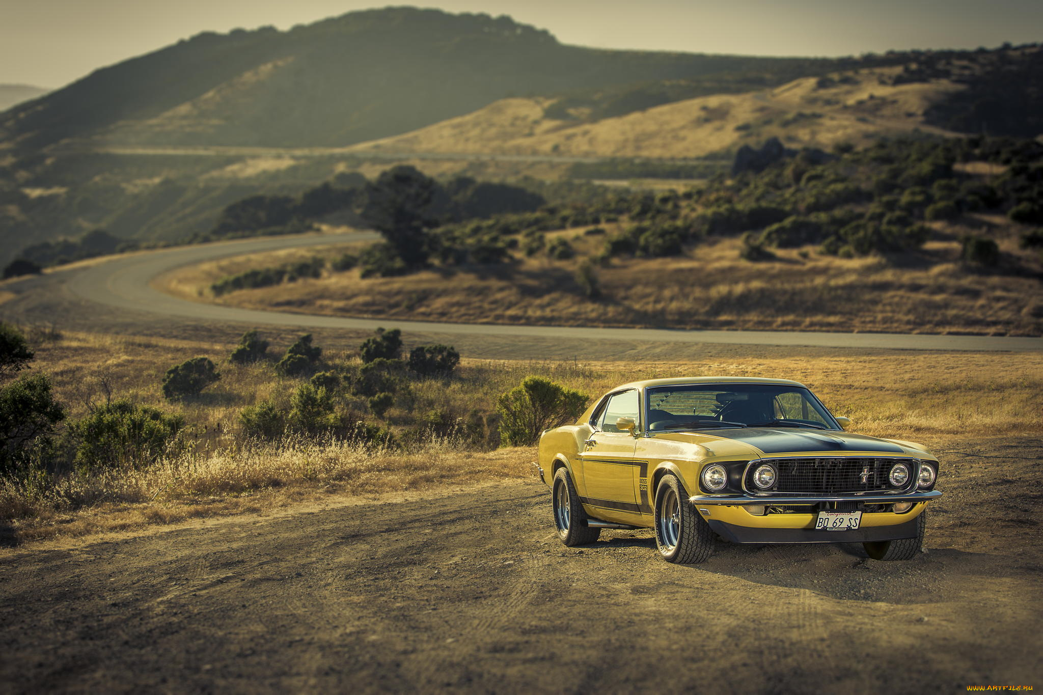 автомобили, mustang