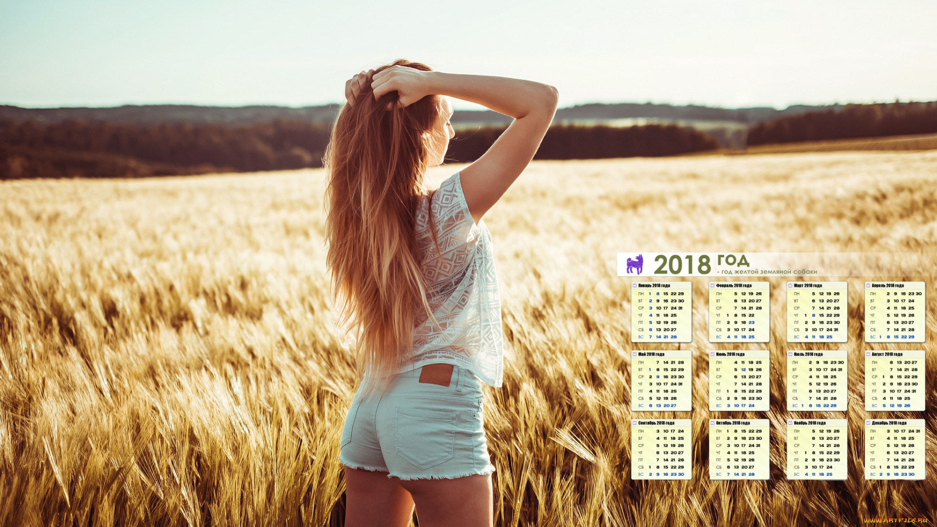 календари, девушки, поле, растения