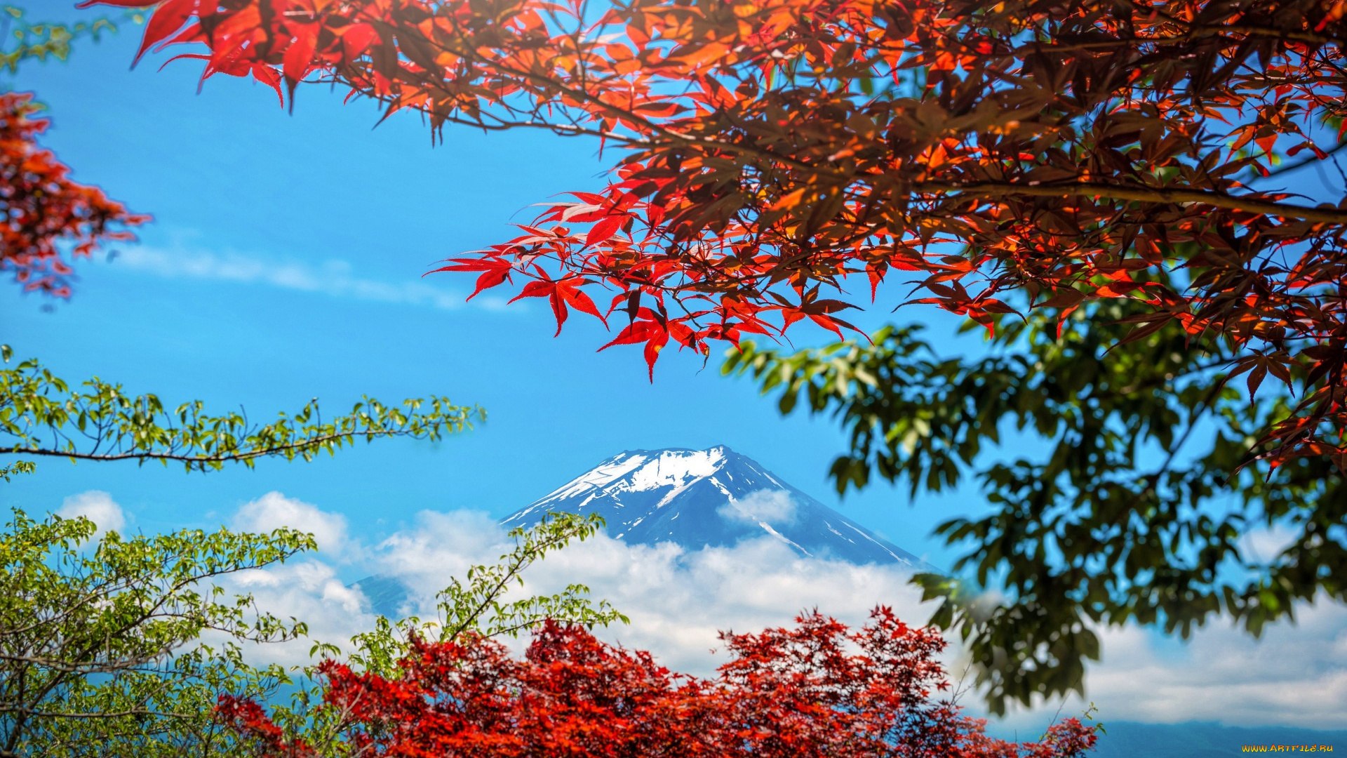 природа, горы, japan, Япония, colorful, листья, небо, осень, fuji, mountain, maple, осенние, leaves, autumn, landscape, гора, фуджи, клен, red