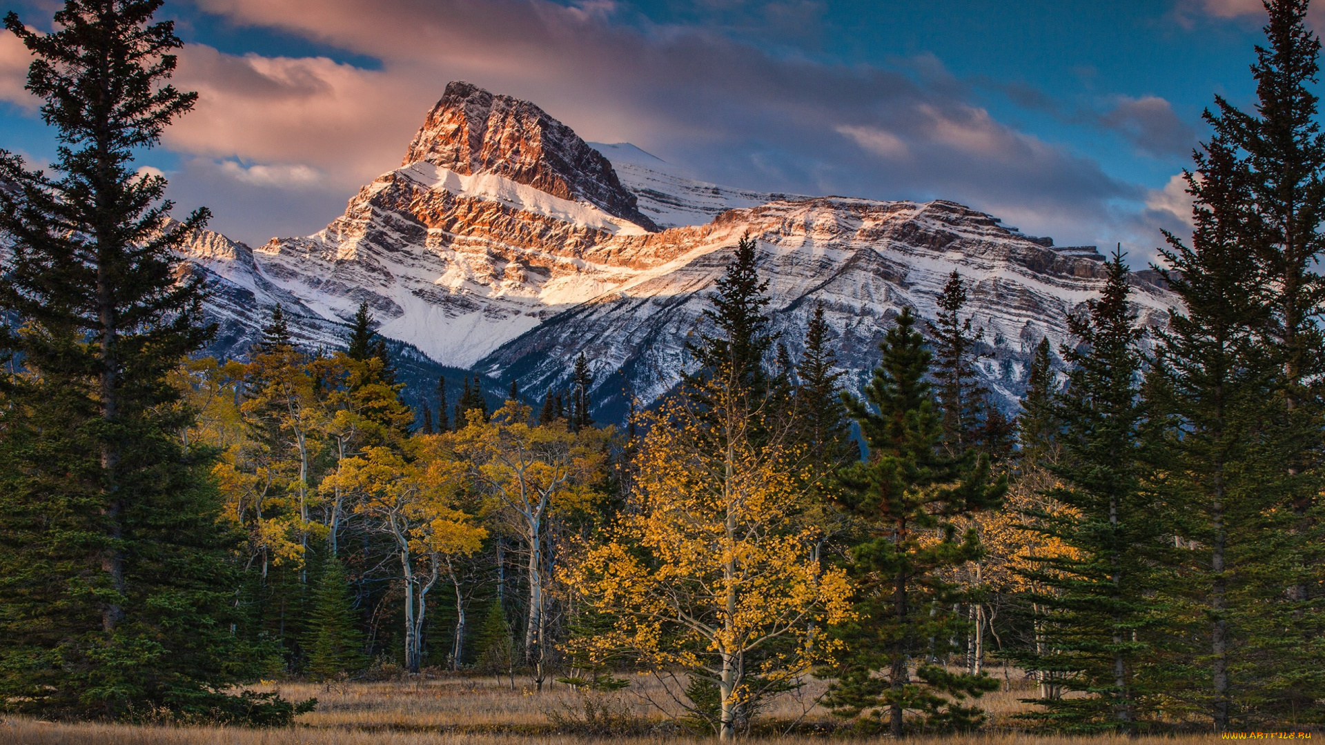 природа, горы, осень, осенняя, ели, канада, альберта, снежные, вершины, синева, деревья, снег, облака, небо, лес