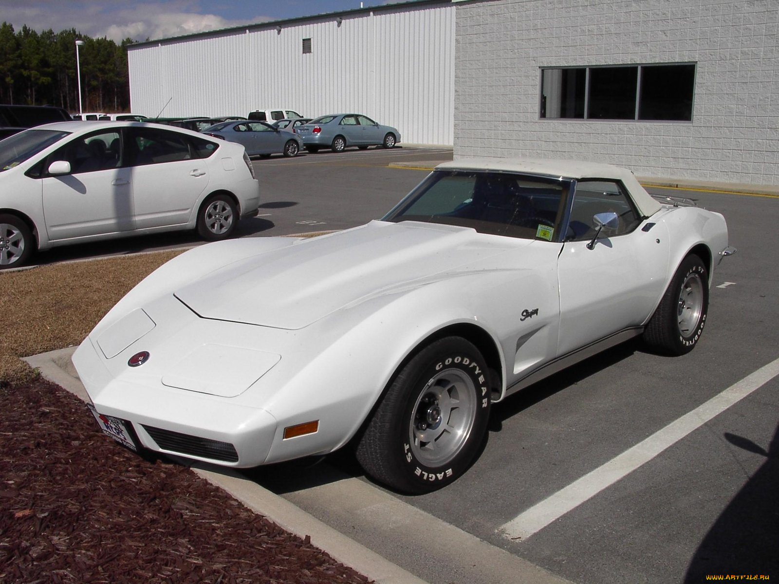 1976, chevrolet, corvette, classic, автомобили, выставки, уличные, фото